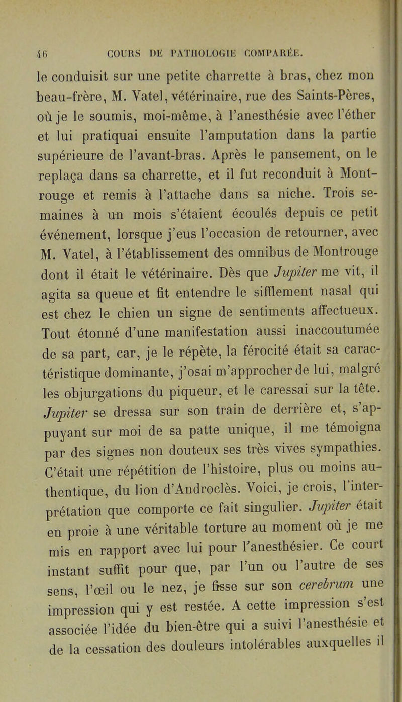 le conduisit sur une petite charrette à bras, chez mon beau-frère, M. Vatel, vétérinaire, rue des Saints-Pères, où je le soumis, moi-même, à l'anesthésie avec Téther et lui pratiquai ensuite l'amputation dans la partie supérieure de l'avant-bras. Après le pansement, on le replaça dans sa charrette, et il fut reconduit à Mont- rouge et remis à l'attache dans sa niche. Trois se- maines à un mois s'étaient écoulés depuis ce petit événement, lorsque j'eus l'occasion de retourner, avec M. Vatel, à l'établissement des omnibus de Montrouge dont il était le vétérinaire. Dès que Jupiter me vit, il agita sa queue et fit entendre le sifflement nasal qui est chez le chien un signe de sentiments affectueux. Tout étonné d'une manifestation aussi inaccoutumée de sa part, car, je le répète, la férocité était sa carac- téristique dominante, j'osai m'approcher de lui, malgré les objurgations du piqueur, et le caressai sur la tête. Jupiter se dressa sur son train de derrière et, s'ap- puyant sur moi de sa patte unique, il me témoigna par des signes non douteux ses très vives sympathies. C'était une répétition de l'histoire, plus ou moins au- thentique, du lion d'Androclès. Voici, je crois, l'inter- prétation que comporte ce fait singulier. Jupiter était en proie à une véritable torture au moment où je me mis en rapport avec lui pour Tanesthésier. Ce court instant suffit pour que, par l'un ou l'autre de ses sens, l'œil ou le nez, je fisse sur son cerebrum une impression qui y est restée. A cette impression s'est associée l'idée du bien-être qui a suivi l'anesthésie et de la cessation des douleurs intolérables auxquelles il