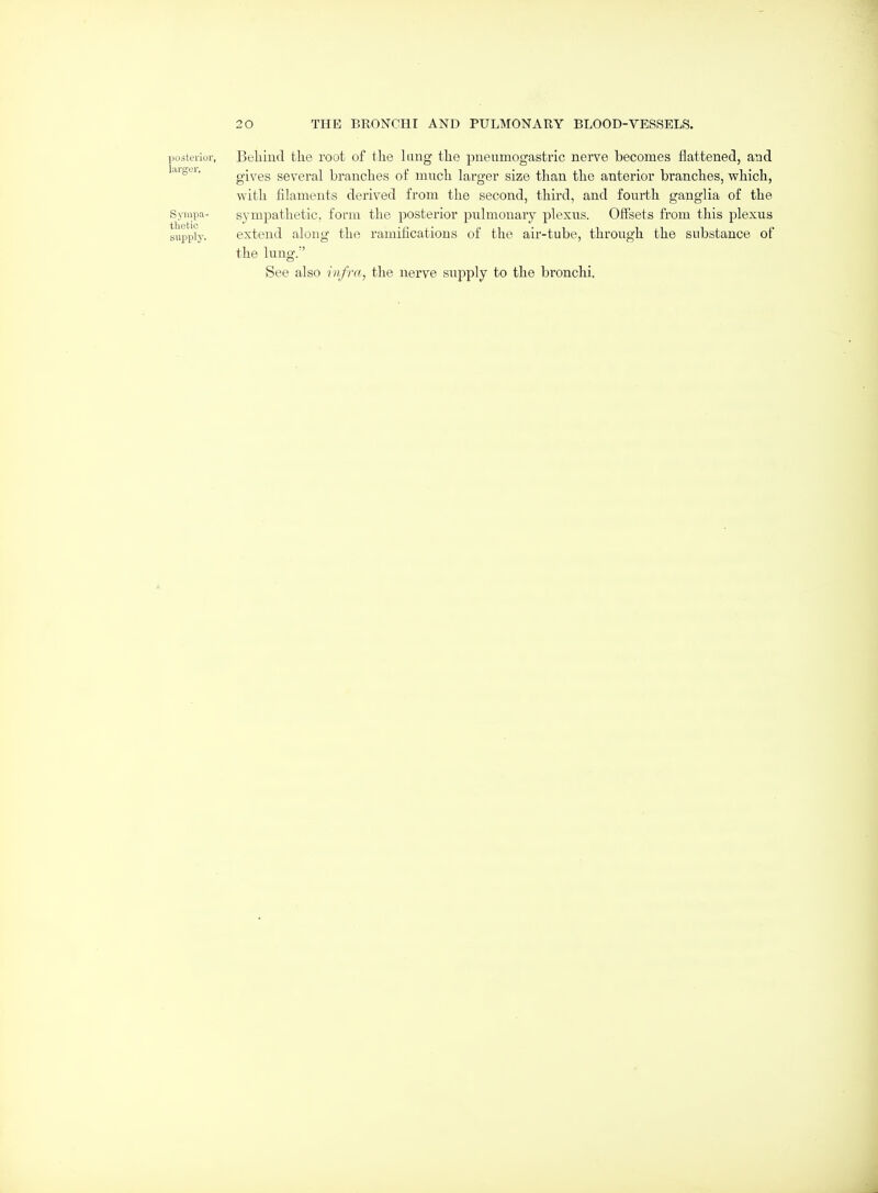 posterior, Beliiud the root of the hmg the pueumogastric nerve becomes flattened, and I'Wg'^i- gives several branches of much larger size than the anterior branches, which, with filaments derived from the second, third, and fourth ganglia of the Sympa- sympathetic, form the posterior pulmonary plexus. Offsets from this plexus supply. extend along the ramifications of the air-tube, through the substance of the lung. See also infra, the nerve supply to the bronchi.