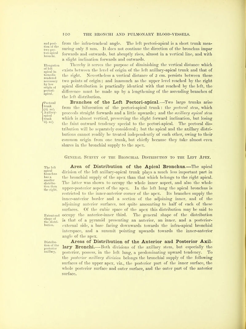 and posi- tion of tho two pec- toi'i-apical bronchi. Elongation of left apical in- ternodia rendered necessary by low origin of peotori- apical. 'Pectoral trunk (iij. aa). ■\ A xillary- apical truuk Mij. as). from the infra-tracheal angle. The left pectori-apical is a short trunk mea- suring only 8 mm. It does not continue the direction of the bronchus impar forwards and outwards, but abruptly rises, almost in a vertical line, and with a slight inclination forwards and outwards. Thereby it serves the purpose of diminishing the vertical distance which exists between the level of origin of the left axillary-apical trunk and that of the right. Nevertheless a vertical distance of 2 cm. persists between these two points of origin; and inasntuch as the upjDer level reached by the right apical distribution is practically identical with that reached by the left, the difference must be made up by a lengthening of the ascending branches of the left distribution. Branches of the Left Pectori-apical.—Two large trunks arise from the bifurcation of the pectori-apical trunk: the p)^ctoi'al stem, which proceeds straight forwards and a little upwards; and the axillanj apical stem which is almost vertical, preserving the slight forward inclination, but losing the faint outward tendency special to the pectori-apical. The pectoral dis- tribution will be separately considered ; but the apical and the axillary distri- butions cannot readily be treated independently of each other, owing to their common origin from one trunk, but chiefly becaiise they take almost even shares in the bronchial supply to the apex. General Survey of the Bronchial Distribution to the Left Apex. Tbe left apical bronchus has a smaller distribu- tion than the right. Extent and shape of the distri- bution. Distribu- tion of tlie posterior axillary, Area of Distribution of the Apical Bronchus.—The apical division of the left axillary-apical trunk plays a much less important part in the bronchial supply of the apex than that which belongs to the right apical. The latter was shown to occupy the whole inner aspect, and also the whole upper-posterior aspect of the apex. In the left lung the apical bronchus is restricted to the inner-anterior corner of the apes. Its branches supply the inner-anterior border and a section of the adjoining inner, and of the adjoining anterior surfaces, not quite amounting to half of each of these surfaces. Of the cubic space of the apex this distribution may be said to occupy the anterior-inner third. The general shape of the distribution is that of a pyramid presenting an anterior, an inner, and a posterior- external side, a base facing downwards towards the infra-ajiical bronchial interspace, and a summit pointing ujowards towards the inner-anterior angle of the apex. Areas of Distribution of the Anterior and Posterior Axil- lary Bronchi.—Both divisions of the axillary stem, but especially the jDosterior, possess, in the left lung, a predominating upward tendency. To the 2^osterior axillary division belongs the bronchial supply of the following surfaces of the upper apex, viz., the posterior part of the inner surface, the whole posterior surface and outer surface, and the outer part of the anterior surface.