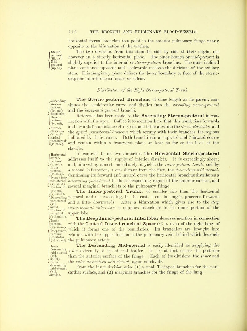 horizontal sternal bronchus to a point in the anterior pulmonary fringe nearly opioosite to the bifurcation of the trachea. ''Stpi-no- The two divisions from this stem lie side by side at their origin, not l(iij.*aa). however in a strictly horizontal plane. The outer branch or mid-pcdoral is I plctoral slightly superior to the internal or sterno-pedoral bronchus. The same inclined l(iij. ae). plane continued u^Jwards and backwards receives the divisions of the axillary stem. This imaginary plane defines the lower boundary or floor of the sterno- scapular inter-bronchial space or sulcus. Distrihution of the Right Stcrno-iKctoral Trunk. Ascending The Stemo-pectoral Bronchus, of same length as its parent, con- sterno- tiuues the semicircular curve, and divides into the ascending sterno-pectoral pectoral I (iv. aas). and the horizontal pectoral bronchi. lsterao°°'''^ Eeferencehas been made to the Ascending Sterno-pectoral in con- pectoral nection with the apex. Suffice it to mention here that this trunk rises forwards ^(iv. aai). . '^^ (stemo- inwards for a distance of i ■ 5 cm. and bifurcates into the sterno-clavicular and (v^aasi) cqwcd j)arastcrnal hronchvs which occupy with their branches the regions Apical indicated by their names. Both bronchi run an upward and ? inward course (v-riuise).^^ and remain within a transverse plane at least as far as the level of the clavicle. Horizontal Contrast to its twin-bronchus the Horizontal Sterno-pectoral pectoral addresses itself to the supply of inferior districts. It is exceedingly short; (v. aaii). and, bifurcating almost immediately, it pelds the imicr-fcctorcd trunk, and by pectoral a secoud bifurcation, i cm. distant from the first, the descending mid-sternal. v(v. aaia). Continuing its forward and inward curve the horizontal bronchus distributes a Descending  -,..„,.„-, mid-sternal descending jMrastemcd. to the corresponding region of the anterior surface, and IHorizonhil Several marginal branchlets to the pulmonary fringe, pectoral The Inner-pectoral Trunk, of smaller size than the horizontal (vj. aaiii). _ _ ' Descending pectoral, and not exceeding, in the cast, I cm. in length, j^roceeds forwards parasteniai ^^^^ ^ little downwards. After a bifurcation which gives rise to the deej) / aaiiid). iiiner-pectorcd interlohar, it supplies branchlets to the inner portion of the I Horizontal ^ marginal Upper lobe. uvij. aaini). The Dccp Inncr-pcctoral Interlobar deserves mention in connection (Inner- -•■ pectoral with the Central Inter-bronchial Space {ef. p. 121) of the right lung, of iJieptDner- which it forms one of the boundaries. Its branchlets are brought into fut° rTbar ^'^^^^^'^^ y^'iih. the u^^per division of the pulmonary vein, behind which descends (vj. aaiad). the pulmonary artery. pinner The Descending Mid-sternal is easily identified as supplying the ^^crsternai ^O'^^t'i' extremity of the sternal border. It lies at first nearer the posterior mu: (vij- than the anterior surface of the fringe. Each of its divisions the inner and aaiidi). P .- Outer the outer descending vnd-sterncd, again subdivide. miXsternal Fi'om the inner division arise (i) a small T-shaped bronchus for the peri- , (■^Jj cardial surface, and (2) marginal branches for the fringe of the lung.