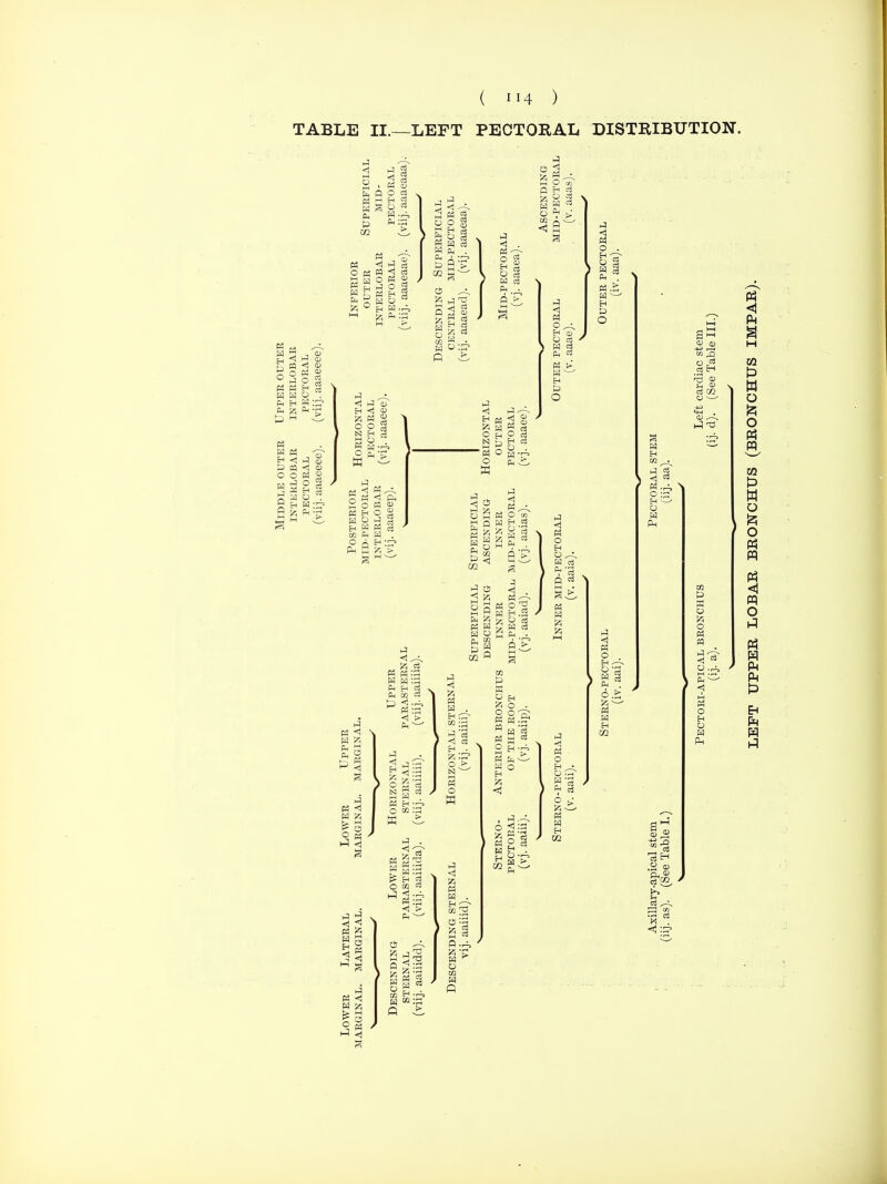 TABLE II.—LEFT PECTORAL DISTRIBUTION. < ^ ^ n p g Qj M Eh H a g =^ K <l 6 S O M M <! cJ H O K S K S O S ma 11 H > g ^ J I g o M ; ° >^ o K H 1 H H O (ii B H fH a •; t3  <j J S ^ 05 <( 0) O O M 2 0 o g r ^ S CO ^ S '2 « -d ^ 1 ^ ^ M fq t« <) J O O N H w - g K <1 Ph 2 o n « ^ 9 S R ?5 ^ EH H « M Ph H . Ph S 15 > S H g t« O H g 2 t2 O -1 ? <1 3 5 M p'w E Q « ^ .S K !^ g W S H H ^ S S O  . • 02 r=. » 2 O c4 « W g W c3 H 9 M Ph • Bh 1^ A C •^ n i-H O . B O to ^ o^ o fH •- o w Ph <1 K o . EH ^ Ph . 6.£; M H H m w o !^ O M P5 o EH O W Ph CD a; ;h 03 ^ l«1