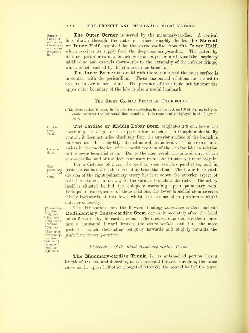 Supply to the outor comer; to the sternal, and to the mammary half. The Outer Corner is served by the mammary-cai-diac. A vertical line, drawn through the anterior surface, roughly divides the Sternal or Inner Half, supplied by the sterno-cardiac, from the Outer Half, which receives its supply from the deep mammary-cardiac. The latter, by its inner posterior cardiac branch, encroaches posteriorly beyond the imaginary middle-line and extends downwards to the extremity of the inferior fringe, which is not reached l)y the sterno-cardiac bronchi. The Inner Border is parallel with the sternum, and the inner surface is in contact with the pericardium. These anatomical relations are turned to account in our nomenclature. The presence of the nijDple not far from the upper outer boundary of the lobe is also a useful landmark. The Right Cardiac Bronchial Distribution. (This distribution is seen, in distant foreshortening, in columns A and B of fig. lo, being in- cluded between the horizontal lines v and ix. It is more clearly displayed in the diagram, fig- 9 ) Cardiac stem (ij. a). Its rela- tions. The pulmonary artery and [Mammary- cardiac I (iij. ae). \ Kudimeu- I tai-y inner- I cardiac (iij. aa). ■'Posterior mammary- cardiac ( (iv. aad). Sterno. cardiac (iv. aiii). The Cardiac or Middle Lobar Stem originates 2-8 cm. below the lower angle of origin of the upper lobar bronchus. Although undoubtedly ventral, it does not arise absolutely from the anterior surface of the bronchus intermedins. It is slightly internal as well as anterior. This circumstance assists in the production of the mesial position of the cardiac lobe in relation to the lower bronchial stem. But to the same result the inward cux've of the sterno-cardiac and of the deep mammary trunks contributes yet more largely. For a distance of 2 cm. the cardiac stem remains parallel to, and in posterior contact with, the descending bronchial stem. The lower, horizontal, division of the right pulmonary artery lies here across the anterior aspect of both these tubes, on its way to the various bronchial districts. The artery itself is situated behind the obliquely ascending upper pulmonary vein. Perhaps in consequence of these relations, the lower bronchial stem swerves faintly backwards at this level, whilst the cardiac stem presents a slight anterior concavity. The bifurcation into the forward tending mavimary-canliac and the Rudimentary Inner-cardiac Stem occurs immediately after the bend taken forwards by the cardiac stem. The inner-cardiac stem divides at once into a horizontal inward branch, the sterno-cardiac, and into the more posterior branch, descending obliquely forwards and slightly inwards, the 2)osterior mariimary-ccmliac. Distribution of the Biglit Mammary-cardiac Trunk. The Mammary-cardiac Trunk, in its unbranched portion, has a length of I5 cm. and describes, in a horizontal foi-ward direction, the same curve as the ujDper half of an elongated letter S; the second half of the curve