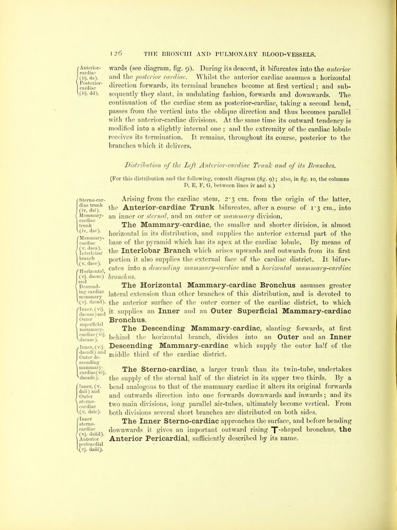(Anterior- cardiac I (iij. da). Posterior- cardiac wards (see diagram, fig. 9). During its descent, it bifurcates into the anterior and tlie jMstcrior cardiac. Whilst the anterior cardiac assumes a horizontal direction forwards, its terminal branches become at first vertical; and sub- sequently they slant, in undulating fashion, forwards and downwards. The continuation of the cardiac stem as posterior-cardiac, taking a second bend, passes from the vertical into the oblique direction and thus becomes parallel with the anterior-cardiac divisions. At the same time its outward tendency is modified into a slightly internal one ; and the extremity of the cardiac lobule receives its termination. It remains, throughout its course, posterior to the branches which it delivers. Storno-car- diac tnmk (iv. dai). Mammary- cardiac triiiik (iv. dae). Mammary- cardiac (v. daea). Interlobar brauoli (v. daeo). Horizontal, (vj. daeae) and Desceud- 1 iug cardiac I mammary \(vj. daead). /luuer, (vij. daeaaa) and Outer ( superficial I mammarj'- I cardiac (vij. \daeaae). Inner, (vij. daeadi) and Outer de- scending I mammary- I cardiac(vij. ^ daeade ). '.[nner, (v. daii) and Outer sterno- I cardiac \(v. dale). Inner sterno- cardiac (vj. daiid). Anterior pericardial (vj. daiii). Distribution of the Left Anterior-cardiac Trunk and of its Branches. (For this distribution and the following, consult diagram (fig. 9) ; also, in fig. 10, the columns D, E, F, G, between lines iv and x.) Arising from the cardiac stem, 2'3 cm. from the origin of the latter, the Anterior-cardiac Trunk bifurcates, after a course of i3 cm., into an inner or sternal, and an outer or mammary division. The Mammary-cardiac, the smaller and shorter division, is almost horizontal in its distribution, and supplies the anterior external part of the base of the pyramid which has its apex at the cardiac lobule. By means of the Interlobar Branch, which arises upwards and outwards from its first portion it also supplies the external face of the cardiac district. It bifur- cates into a descending mammary-cardiac and a horizontal mammary-cardiac hronehits. The Horizontal Mammary-cardiac Bronchus assumes greater lateral extension than other branches of this distribution, and is devoted to the anterior surface of the outer corner of the cardiac district, to which it supplies an Inner and an Outer Superficial Mammary-cardiac Bronchus. The Descending Mammary-cardiac, slanting forwards, at first behind the horizontal branch, divides into an Outer and an Inner Descending Mammary-cardiac which supply the outer half of the middle third of the cardiac district. The Sterno-cardiac, a larger trunk than its twin-tube, undertakes the supply of the sternal half of the district in its upper two thirds. By a bend analogous to that of the mammary cardiac it alters its original forwards and outwards direction into one forwards downwards and inwards; and its two main divisions, long parallel air-tubes, ultimately become vertical. From both divisions several short branches are distributed on both sides. The Inner Sterno-cardiac approaches the surface, and before bending downwards it gives an important outward rising 'ySl'''''P6tl bronchus, the Anterior Pericardial, sufficiently described by its name.