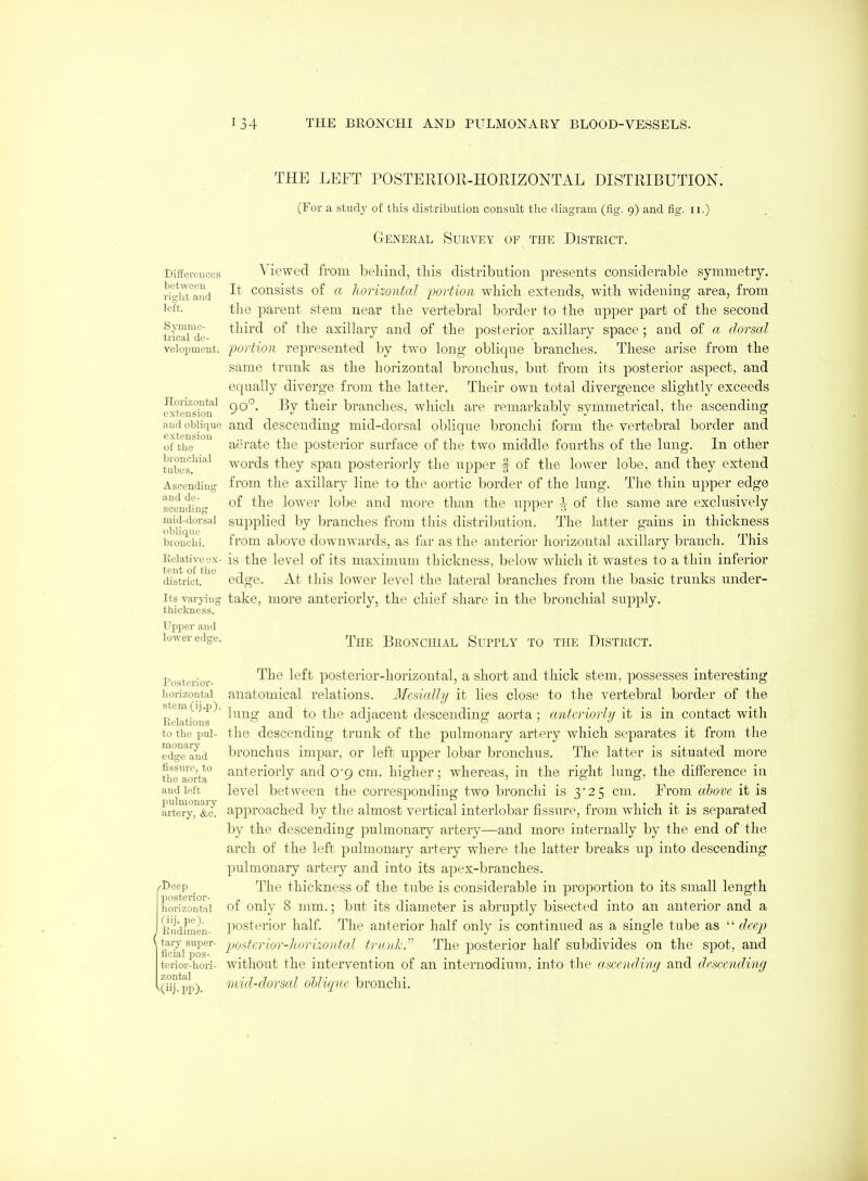 Differ«uccs between I'ight and left. SjTnmo- trical de- velopment. ITorizontal extension and oblique extension of the bronchial tubes. Ascending and de- scending niid-dorsal oblique bronchi. Ivelative ex- tent of tho district. Its varjiug thickness. Upper and lower edge. THE LEFT POSTERIOR-HORIZONTAL DISTRIBUTION. (For a stud}- of this distribution consult the diagram (fig. 9) and fig. 11.) General Survey of the District. Viewed from behind, this distribution presents considerable symmetry. It consists of a horizontal portion which extends, with widening area, from the parent stem near the vertebral border to the iipper part of the second third of the axillary and of the posterior axillary space; and of a dorsal portion represented by two long oblique branches. Tliese arise from the same trunk as the horizontal bronchus, but from its posterior aspect, and equally diverge from the latter. Their own total divergence slightly exceeds 90°. By their branches, which are remarkably symmetrical, the ascending and descending mid-dorsal oblique bronchi form the vertebral border and aerate the posterior surface of the two middle fourths of the lung. In other words they span posteriorly the upper f of the lower lobe, and they extend from the axillary line to the aortic border of tho lung. The thin upper edge of the lower lobe and more than the upper ^ of the same are exclusively supplied by branches from this distribution. The latter gains in thickness from above downwards, as far as the anterior horizontal axillary branch. This is the level of its maximum thickness, below which it wastes to a thin inferior edge. At this lower level the lateral branches from the basic trunks under- take, more anteriorly, the chief share in the bronchial supply. The Bronchial Supply to the District. Posterior- horizontal stem (ij.p). Relations to the pul- monary edge and fissure, to the aorta and left pulmonary artery, &c. ^Deep posterior- horizontal (iij. pe). Rudimen- tary super- ficial i^os- terioi--hori- zontal (iij. pp). The left posterior-horizontal, a short and thick stem, possesses interesting anatomical relations. Mcsially it lies close to the vertebral border of the lung and to the adjacent descending aorta; anteriorly it is in contact with the descending trunk of the pulmonary artery which separates it from the bronchus impar, or left upper lobar bronchus. The latter is situated more anteriorly and o-g cm. higher; whereas, in the right lung, the difference in level between the corresponding two bronchi is 3*25 cm. From above it is approached by the almost vertical interlobar fissure, from which it is separated by the descending pulmonary artery—and more internally by the end of the arch of the left palmonary artery where the latter breaks uj? into descending pulmonary artery and into its ajDex-branches. The thickness of the tube is considerable in proportion to its small length of only 8 mm.; but its diameter is abruptly bisected into an anterior and a posterior half. The anterior half only is continued as a single tube as  (Ice}) imterior-lwrizontal trunk. The posterior half subdivides on the spot, and without the intervention of an internodium, into the ascending and descending mid-dorscd ohiicjiv.e bronchi.
