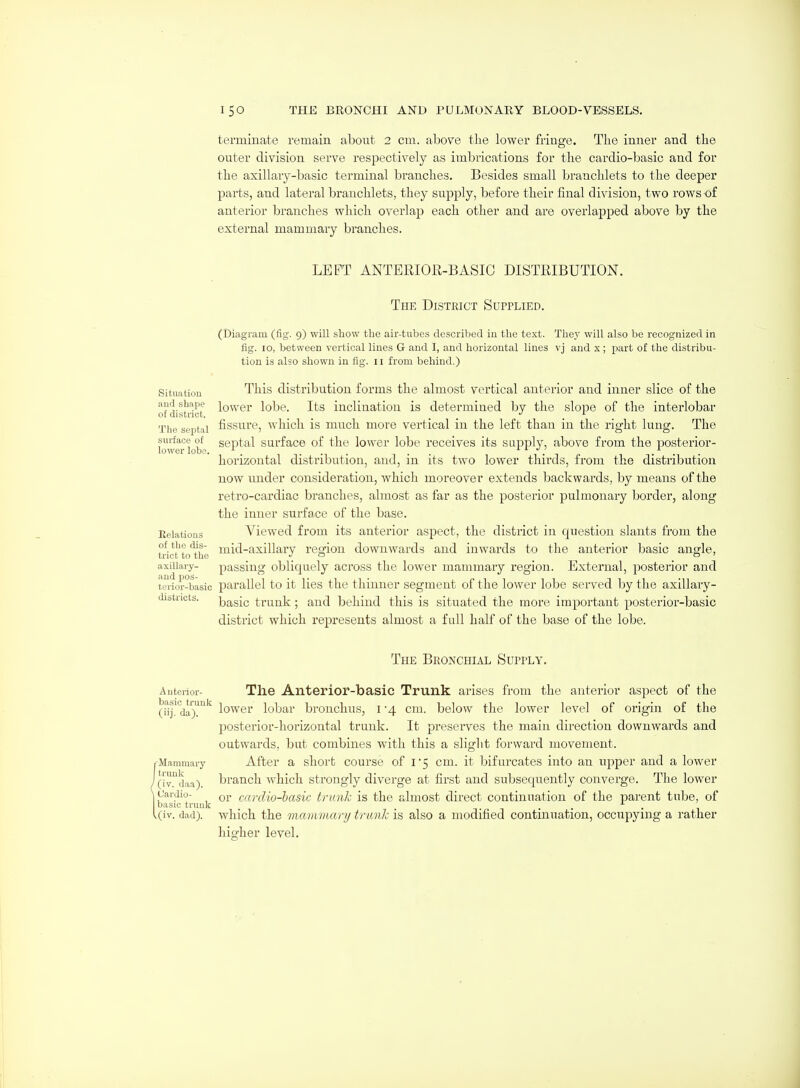 THE BRONCHI AND PULMONARY BLOOD-VESSELS. tei'minate remain about 2 cm. above tlie lower fringe. The inner and tlie outer division serve respectively as imbrications for tlie cardio-basic and for tlie axillary-basic terminal branches. Besides small branchlets to the deeper parts, and lateral branchlets, they supply, before their final division, two rows of anterior branches which overlap each other and are overlapped above by the external mammary branches. LEFT ANTERIOR-BASIC DISTRIBUTION. The District Supplied. (Diagram (fig. 9) will show the air-tubes described iu the text. They will also be recognized in fig. 10, between vertical lines G and I, and horizontal lines vj and x ; part of the distribu- tion is also shown in fig. 11 from behind.) Situation and shape of district. The septal surface of lower lobe. Relations of the dis- trict to the axillary- aud pos- terior-basic districts. This distribution forms the almost vertical anterior and inner slice of the lower lobe. Its inclination is determined by the slope of the interlobar fissure, which is much more vertical in the left than in the right lung. The septal surface of the lower lobe receives its supply, above from the posterior- horizontal distribution, and, in its two lower thirds, from the distribution now under consideration, which moreover extends backwards, by means of the retro-cardiac branches, almost as far as the posterior pulmonary border, along the inner surface of the base. Viewed from its anterior aspect, the district in question slants from the mid-axillary region downwards and inwards to the anterior basic angle, passing obliquely across the lower mammary region. External, posterior and parallel to it lies the thinner segment of the lower lobe served by the axillary- basic trunk; and behind this is situated the more important posterior-basic district which represents almost a full half of the base of the lobe. The Bronchial Supply. Anterior- The Aiiterior-basic Trunk arises from the anterior aspect of the (iij.da)™'^ lower lobar bronchus, i '4 cm. below the lower level of origin of the l)Osterior-horizontal trunk. It preserves the main direction downwards and outwards, but combines with this a sliglit forward movement. Mammary After a short course of I'5 cm. it bifurcates into an upper and a lower (iv.°daa). branch which strongly diverge at first and subsequently converge. The lower Cardio- q^, ckrdio-hasic trunk is the almost direct continuation of the parent tube, of basic trunk . . . ,(iv. dad), which the mammary trunk is also a modified continuation, occupying a rather higher level.
