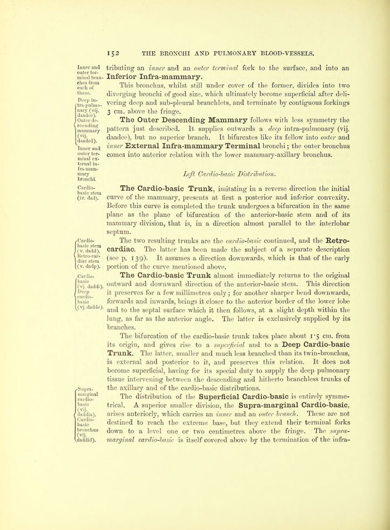 Inner and outer tor- minal bran- ches from each of these. Deep in- 'tra-piihuo- nary (vij. daadee). Outer de- scending mammary (vij. daaded). Inner and outer ter- minal ex- ternal in- fra-mam- mary bronchi. Cardio- basic stem (iv. dad). /Cardio- basic stem I (v. dadd). Ketro-car- diac stem (^(v. dadp). Cardio- [basic (vj. daddi). ' Deep L cardio- basic I (vj. dadde). xlSupra- marginal cardio- basic (vij. daddia). Cardio- basic bronchus (vij. (iaddid). ti'ibuting an inner and an outer terminal fork to the surface, and into an Inferior Infra-mammary. This bronchus, wliilst still under cover of the former, divides into two diverging bronchi of good size, which ultimately become superficial after deli- vering deep and sub-pleural branclilets, and terminate by contiguous forkings 3 cm. above the fringe. The Outer Descending Mammary follows with less symmetry the pattern just described. It supplies outwards a deep intra-pulmonary (vij. daadee), but no superior branch. It bifurcates like its fellow into outer and inner External Infra-mammary Terminal bronchi; the outer bronchus comes into anterior relation with the lower mammary-axillary bronchus. Left Cardio-hasic Distrihution. The Cardio-basic Trunk, imitating in a reverse direction the initial curve of the mammary, presents at first a posterior and inferior convexity. Before this curve is completed the trunk undergoes a bifurcation in the same plane as the plane of bifurcation of the anterior-basic stem and of its mammary division, that is, in a direction almost parallel to the interlobar septum. The two resulting trunks are the ccmlio-hasic continued, and the Retro- cardiac. The latter has been made the subject of a separate description (see p. 139). It assumes a direction downwards, which is that of the early portion of the curve mentioned above. The Cardio-basic Trunk almost immediately returns to the original outward and downward direction of the anterior-basic stem. This direction it preserves for a few millimetres only; for another sharper bend downwards, forwards and inwards, brings it closer to the anterior border of the lower lobe and to the septal surface which it then follows, at a slight depth within the lung, as far as the anterior angle. The latter is exclusively supplied by its branches. The bifurcation of the cardio-basic trunk takes place about 1*5 cm. from its origin, and gives rise to a supcrficicd and to a Deep Cardio-basic Trunk. The latter, smaller and much less branched than its twin-bronchus, is external and posterior to it, and preserves this relation. It does not become superficial, having for its special duty to supply the deep pulmonary tissue intervening between the descending and hitherto branchless trunks of the axillary and of the cardio-basic distributions. The distribution of the Superficial Cardio-basic is entirely symme- trical. A superior smaller division, the Supra-marginal Cardio-basic, arises anteriorly, which carries an inner and an outer h/uneh. These are not destined to reach the extreme base, but they extend their terminal forks down to a level one or two centimetres above the fringe. The supra- marginal cardio-basic is itself covered above by the termination of the infra-