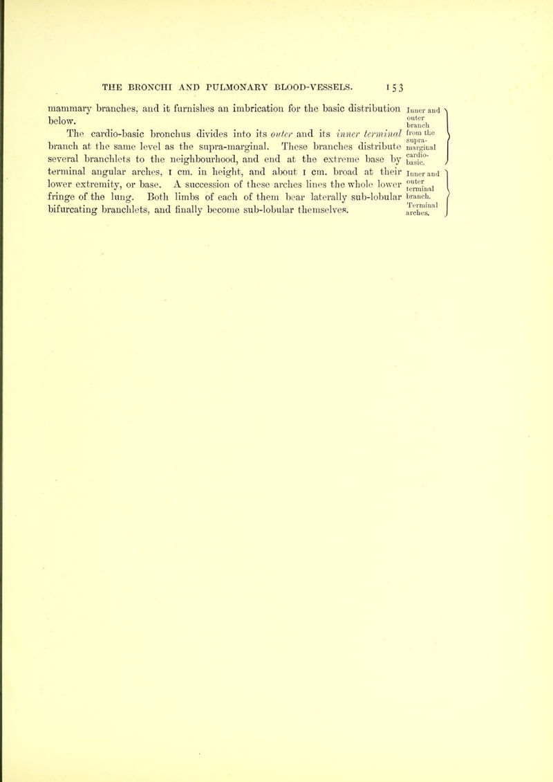 mammaiy branches, aud it fiirnislies an imbrication for the basic distribution luuer and . . .... . . . The cardio-basic bronchus divides into its outer and its inner termined from the branch at the same level as the supra-marginal. These branches distribute mai-ginal several branchlets to the neighbourhood, and end at the extreme base by basic° terminal angular arches, I cm. in height, and about I cm. broad at their inner and lower extremity, or base. A succession of these arches lines the whole lower fringe of the lung. Both limbs of each of them bear laterally sub-lobular brancii. bifurcating branchlets, and finally become sub-lobular themselves. a^rches.'^'