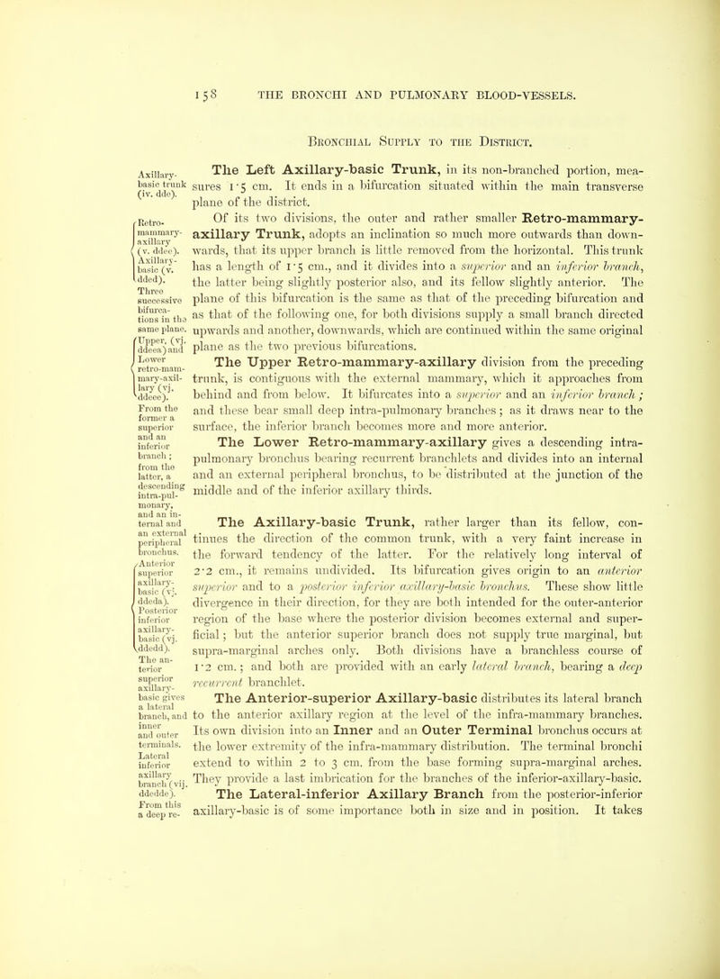 Bronchial Supply to the District. Axillary- basic trunk (iv. ddo). Retro- mammarj'- axillary (v. ddnc). Axillary- basic (v. dded). Three suceessivo bifxirca- tioDS in tba same plane. CUpper, (vj. ddeea)and I Lower retro-main- I mai-y-axil- llary (vj. ^ddeee). From the former a superior and an inferior branch ; from the latter, a descending intra-pul- monary, and an in- ternal and an external peripheral bronchus. ^Anterior superior axillary- basic (tJ. , ddeda). \ Posterior inferior axillarj'- basic (vj. ddedd). The an- terior superior axillary- basic gives a lateral branch, and inner and outer terminals. Lateral inferior axillary branch (vij. ddedde). from this a deep re- Tlie Left Axillary-basic Trunk, in its non-brauched portion, mea- sures I ■ 5 cm. It ends in a bifurcation situated within the main transverse plane of the district. Of its two divisions, the outer and rather smaller Retro-mammary- axillary Trunk, adopts an inclination so mucli more outwards than down- wards, that its upper branch is little removed from the horizontal. This trunk has a length of 1*5 cm., and it divides into a svpcrior and an imfcrior Iranch, the latter being slightly posterior also, and its fellow slightly anterior. The plane of this bifurcation is the same as that of the preceding bifurcation and as that of the following one, for both divisions supply a small branch directed upwards and another, downwards, which are continued within the same original plane as the two previous bifurcations. The Upper Retro-mammary-axillary division from the preceding trunk, is contiguous with the external mammary, which it approaches from behind and from below. It bifurcates into a siqjerior and an inferior branch ; and these bear small deep intra-pulmonary branches; as it draws near to the surface, the inferior l:)ranch becomes more and more anterior. The Lower E,etro-mammary-axillary gives a descending intra- pulmonary bronchus bearing recurrent branchlets and divides into an internal and an external peripheral bronchus, to be distributed at the junction of the middle and of the inferior axillary thirds. The Axillary-basic Trunk, rather larger than its fellow, con- tinues the direction of the common trunk, with a very faint increase in the forward tendency of the latter. For the relatively long interval of 2*2 cm., it remains undivided. Its bifurcation gives origin to an anterior superior and to a posterior inferior axillary-'basic hronclms. These show little divergence in their direction, for they are both intended for the outer-anterior region of the base where the posterior division becomes external and super- ficial ; but the anterior superior branch does not supply trtie marginal, but supra-marginal arches only. Both divisions have a branchless course of I'2 cm.; and both are provided with an early lateral hranch, bearing a deep recurrent branchlet. The Anterior-superior Axillary-basic distributes its lateral branch to the anterior axillary region at the level of the infra-mammary branches. Its own division into an Inner and an Outer Terminal bronchus occurs at the lower extremity of the infra-mammary distribution. The terminal bronchi extend to within 2 to 3 cm. from the base forming supra-marginal arches. They provide a last imbrication for the branches of the inferior-axillary-basic. The Lateral-inferior Axillary Branch from the posterior-inferior axillary-basic is of some importance both in size and in position. It takes