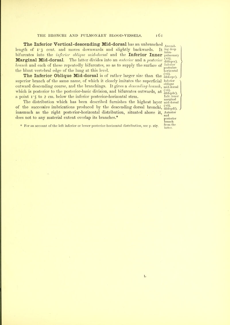 The Inferior Vertical-descending Mid-dorsal has an unbranched Asceud- length of I • 3 cent, and moves downwards and slightly backwards. It i^s deep bifurcates into the inferior ohlique mid-dorsal and the Inferior Inner pulmonary Marginal Mid-dorsal. The latter divides into an cmtcrior and a ■posterior dddepes). ) branch and each of these repeatedly bifurcates, so as to supply the surface of ^^^ff?!' ^ . ' L L J postenor- the blunt vertebral edge of the lung at this level. horizontal The Inferior Oblique Mid-dorsal is of rather larger size than the dddiepe). superior branch of the same name, of which it closely imitates the superficial inferior outwai'd descending course, and the branchings. It gives a descending branch, J^id-dm-sal which is posterior to the posterior-basic division, and bifurcates outwards, at ^adepde) a point I 5 to 2 cm. below the inferior posterior-horizontal stem. Infr. inner ) The distribution which has been described furnishes the highest layer mid-dorsal of the successive imbrications produced by the descending dorsal bronchi, dddcpdi) inasmuch as the right posterior-horizontal distribution, situated above it, Anterior does not to any material extent overlap its branches.* posterior branch * For an account of the left inferior or lesser posterior-horizontal distribution, see p. 167. f™! '■ 'LI latter.
