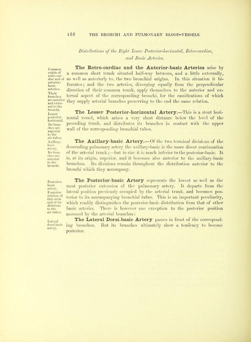Common origin of retro-car- diac and of anterior- basic arteries. Their branches are anterior and exter- nal to tlic bronchi. Lesser posterior- horizontal. Its bran- ches are superior to the air-tubes. Axillary- basic artery. Its bran- ches are anterior to the bronchi. Posterior- basic artery. Posterior relation of this stem and of its divisions to the air-tubes. Lateial dorsi-basic arterj'. Distributions of the Right Lesser Posterior-lwrizontaJ, Retro-cardiac, and Basic, Arteries. The Retro-cardiac and the Anterior-basic Arteries arise by a common short trunk situated half-way between, and a Httle externally, as well as anteriorly to, the two bronchial origins. In this situation it bi- furcates ; and the two arteries, diverging equally from the perpendicular direction of their common trunk, apply themselves to the anterior and ex- ternal aspect of the corresponding bronchi, for the ramifications of which they supply arterial branches preserving to the end the same relation. The Lesser Posterior-horizontal Artery.—This is a stout hori- zontal vessel, which arises a very short distance below the level of the preceding trunk, and distributes its branches in contact with the upper wall of the corresponding bronchial tubes. The Axillary-basic Artery.—Of the two terminal divisions of the descending pulmonary artery the axillary-basic is the more direct continuation of the arterial trunk ;—but in size it is much inferior to the posterior-basic. It is, at its origin, superior, and it becomes also anterior to the axillary-basic bronchus. Its divisions remain throughout the distribution anterior to the bronchi which they accompany. The Posterior-basic Artery represents the lowest as well as the most posterior extension of the pulmonary artery. It departs from the lateral position previously occupied by the arterial trunk, and becomes pos- terior to its accompanying bronchial tubes. This is an important peculiarity, which readily distinguishes the posterior-basic distribution from that of other basic arteries. There is however one exception to the posterior position assumed by the arterial branches: The Lateral Dorsi-basic Artery passes in front of the correspond- ing bronchus. But its branches ultimately show a tendency to become postei'ior.
