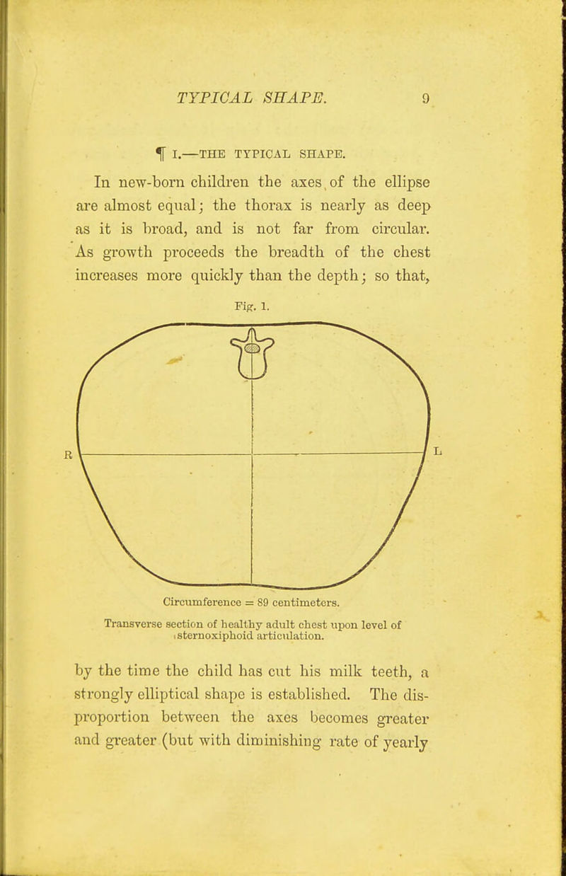 % I.—THE TYPICAL SHAPE, In new-born children the axes,of the ellipse are almost equal; the thorax is nearly as deep as it is broad, and is not far from circular. As growth proceeds the breadth of the chest increases more quickly than the depth; so that, Fig. 1. Circumference = 89 centimeters. Transverse section of healthy adult chest upon level of \ sternoxiphoid articiilation. by the time the child has cut his milk teeth, a strongly elliptical shape is established. The dis- pi'oportion between the axes becomes greater and greater (but with diminishing rate of yearly