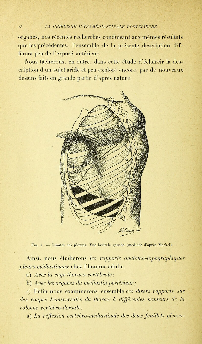 organes, nos récentes recherches conduisant aux mêmes résultats que les précédentes, l'ensemble de la présente description dif- férera peu de l'exposé antérieur. Nous tâcherons, en outre, dans cette étude d'éclaircir la des- cription d'un sujet aride et peu exploré encore, par de nouveaux dessins faits en grande partie d'après nature. Fig. i. —■ Limites des plèvres. Vue latérale gauche (modifiée d'après Morkel). Ainsi, nous étudierons les rapports anatomo-lopographicjues pieuro-médiaslinaux chez l'homme adulte. a) Avec la eacje thoraco-vertébrale ; b) Avec les organes du médias!in postérieur : c) Enfin nous examinerons ensemble ces divers rapports sur des coupes transversales du thorax à différentes hauteurs de la colonne verlébro-dorsale. a) La réflexion verlébro-médiaslinale des deux feuillets pleuro-