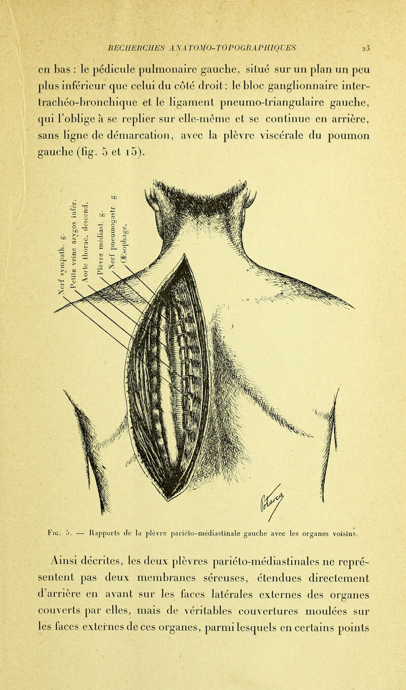 en bas : le pédicule pulmonaire gauche, si lue sur un plan un peu plus inférieur que celui du côté droit ; le bloc ganglionnaire inter- trachéo-bronchique et le ligament pneumo-Uïangulaire gauche, qui l'oblige à se replier sur elle-même et se continue en arrière, sans ligne de démarcation, avec la plèvre viscérale du poumon gauche (lîg. 5 et i5). Fie. 5. — Rapports de la plèvre pariélo-médiaslinale gauche avec les organes voisins. Ainsi décrites, les deux plèvres pariéto-médiastinales ne repré- sentent pas deux membranes séreuses, étendues directement d'arrière en avant sur les faces latérales externes des organes couverts par elles, mais de véritables couvertures moulées sur les faces externes de ces organes, parmi lesquels en certains points