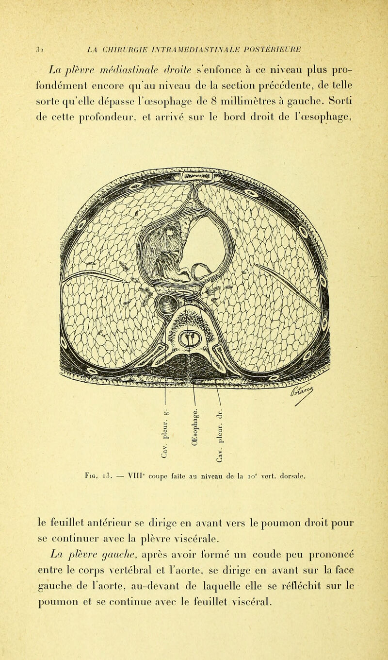 La plèvre médiastinalc droite s'enfonce à ce niveau plus pro- fondément encore qu'au niveau de la section précédente, de telle sorte qu'elle dépasse l'œsophage de 8 millimètres à gauche. Sorti de cette profondeur, et arrivé sur le bord droit de l'œsophage, le feuillet antérieur se dirige en avant vers le poumon droit pour se continuer avec la plèvre viscérale. La plèvre gauche, après avoir formé un coude peu prononcé entre le corps vertébral et l'aorte, se dirige en avant sur la face gauche de l'aorte, au-devant de laquelle elle se réfléchit sur le poumon et se continue aA'ec le feuillet viscéral.
