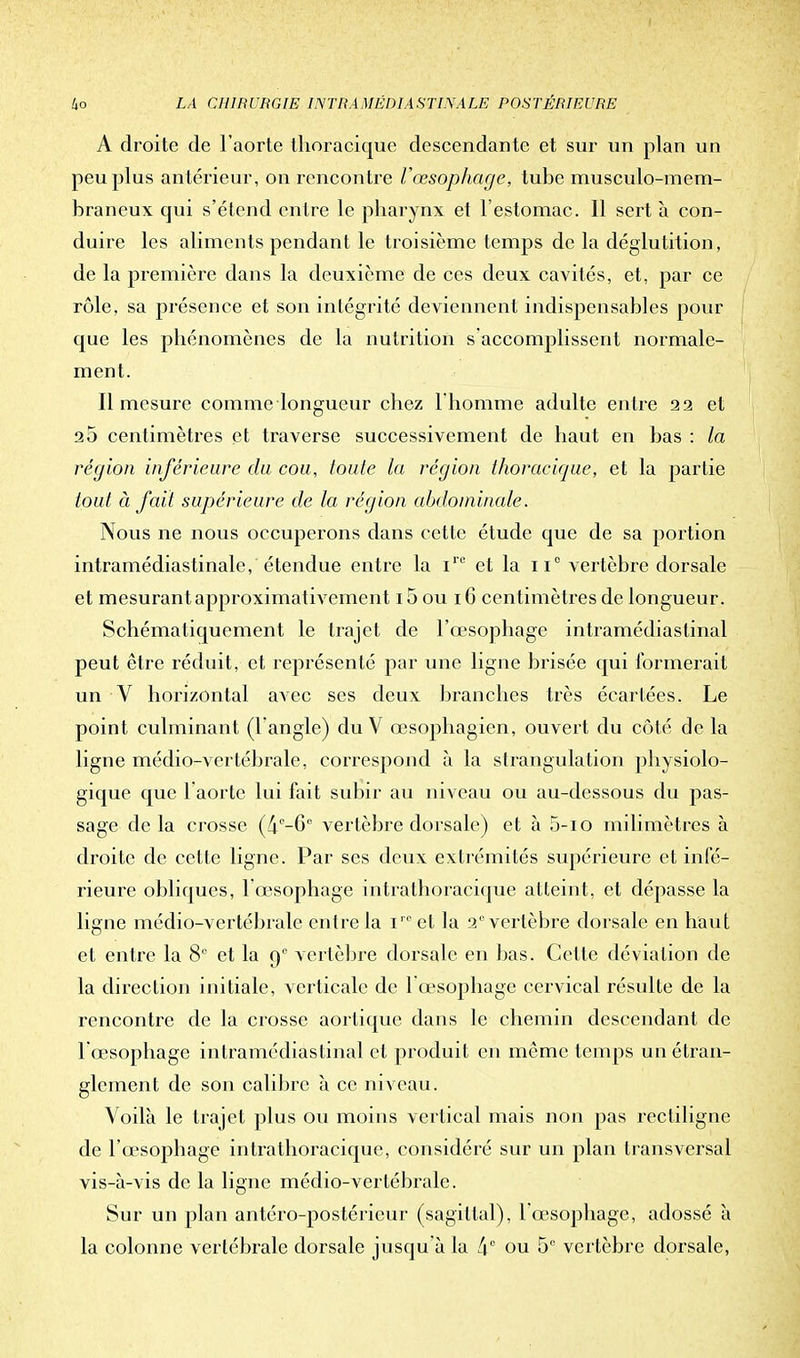 A droite de l'aorte thoracique descendante et sur un plan un peu plus antérieur, on rencontre l'œsophage, tube musculo-mem- braneux qui s'étend entre le pharynx et l'estomac. Il sert à con- duire les aliments pendant le troisième temps de la déglutition, de la première dans la deuxième de ces deux cavités, et, par ce rôle, sa présence et son intégrité deviennent indispensables pour que les phénomènes de la nutrition s'accomplissent normale- ment. 11 mesure comme longueur chez l'homme adulte entre 22 et 25 centimètres et traverse successivement de haut en bas : la région inférieure du cou, toute la région thoracique, et la partie tout à fait supérieure de la région abdominale. Nous ne nous occuperons dans cette étude que de sa portion intramédiastinale, étendue entre la ire et la ii° vertèbre dorsale et mesurant approximativement 15 ou 16 centimètres de longueur. Schématiquement le trajet de l'œsophage intramédiastinal peut être réduit, et représenté par une ligne brisée qui formerait un V horizontal avec ses deux branches très écartées. Le point culminant (l'angle) du V œsophagien, ouvert du côté de la ligne médio-vertébrale, correspond à la strangulation physiolo- gique que l aortc lui fait subir au niveau ou au-dessous du pas- sage de la crosse (4°-Gu vertèbre dorsale) et à 5-1 o milimètres à droite de cette ligne. Par ses deux extrémités supérieure et infé- rieure obliques, l'œsophage intrathoracique atteint, et dépasse la ligne médio-vertébrale entre la irc et la 2e vertèbre dorsale en haut et entre la 8° et la q° vertèbre dorsale en bas. Cette déviation de la direction initiale, verticale de l'œsophage cervical résulte de la rencontre de la crosse aortique dans le chemin descendant de l'œsophage intramédiastinal et produit en même temps un étran- glement de son calibre à ce niveau. Voilà le trajet plus ou moins vertical mais non pas rectiligne de l'œsophage intrathoracique, considéré sur un plan transversal vis-à-vis de la ligne médio-vertébrale. Sur un plan antéro-postérieur (sagittal), l'œsophage, adossé à la colonne vertébrale dorsale jusqu'à la 4 ou 5e vertèbre dorsale,