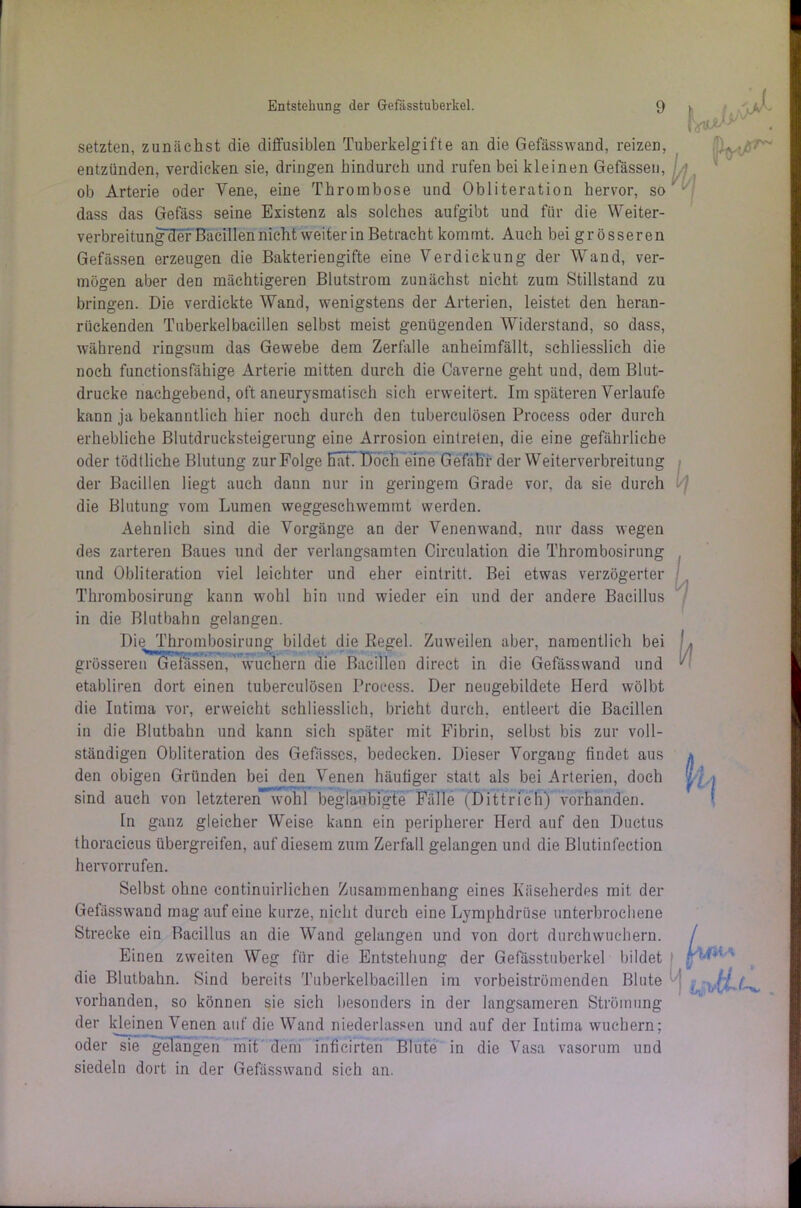 setzten, zunächst die diffusiblen Tuberkelgifte an die Gefässwand, reizen, entzünden, verdicken sie, dringen hindurch und rufen bei kleinen Gefassen, ob Arterie oder Vene, eine Thrombose und Obliteration hervor, so dass das Gefäss seine Existenz als solches aufgibt und für die Weiter- verbreitungcTef Bacillen nicht weiter in Betracht kommt. Auch bei grösseren Gefassen erzeugen die Bakteriengifte eine Verdickung der Wand, ver- mögen aber den mächtigeren Blutstrom zunächst nicht zum Stillstand zu bringen. Die verdickte Wand, wenigstens der Arterien, leistet den heran- rückenden Tuberkelbacillen selbst meist genügenden Widerstand, so dass, während ringsum das Gewebe dem Zerfalle anheimfällt, schliesslich die noch functionsfähige Arterie mitten durch die Caverne geht und, dem Blut- drucke nachgebend, oft aneurysmatisch sich erweitert. Im späteren Verlaufe kann ja bekanntlich hier noch durch den tuberculösen Process oder durch erhebliche Blutdrucksteigerung eine Arrosion eintreten, die eine gefährliche oder tödtliche Blutung zur Folge hat. Doch eine Gefahr der Weiterverbreitung der Bacillen liegt auch dann nur in geringem Grade vor, da sie durch die Blutung vom Lumen weggeschwemmt werden. Aehnlich sind die Vorgänge an der Venenwand, nur dass wegen des zarteren Baues und der verlangsamten Circulation die Thrombosirung und Obliteration viel leichter und eher eintritt. Bei etwas verzögerter Thrombosirung kann wohl hin und wieder ein und der andere Bacillus in die Blutbahn gelangen. Die Thrombosirung bildet die Regel. Zuweilen aber, namentlich bei grösseren Gelassen, wuchern die Bacillen direct in die Gefässwand und etabliren dort einen tuberculösen Process. Der neugebildete Herd wölbt die Intima vor, erweicht schliesslich, bricht durch, entleert die Bacillen in die Blutbahn und kann sich später mit Fibrin, selbst bis zur voll- ständigen Obliteration des Gefässcs, bedecken. Dieser Vorgang findet aus den obigen Gründen bei den Venen häufiger statt als bei Arterien, doch sind auch von letzteren wohl beglaubigte Fälle (Dittrich) vorhanden. ln ganz gleicher Weise kann ein peripherer Herd auf den Ductus thoracieus übergreifen, auf diesem zum Zerfall gelangen und die Blutinfection hervorrufen. Selbst ohne continuirlichen Zusammenhang eines Käseherdes mit der Gefässwand mag auf eine kurze, nicht durch eine Lymphdrüse unterbrochene Strecke ein Racillus an die Wand gelangen und von dort durchwuchern. Einen zweiten Weg für die Entstehung der Gefässtuberkel bildet die Blutbahn. Sind bereits Tuberkelbacillen im vorbeiströmenden Blute vorhanden, so können sie sich besonders in der langsameren Strömung der kjeinen Venen auf die Wand niederlassen und auf der Intima wuchern; oder sie gelangen mit dem inficirten Blute in die Vasa vasorum und siedeln dort in der Gefässwand sieh an.