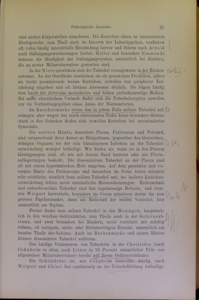 oder andere Körperstellen einnehmen. Die Knötchen sitzen im interacinösen Bindegewebe, zum Theil auch im Inneren der Leberläppchen, confluiren oft, rufen häufig interstitielle Entzündung hervor und führen nach Arnold auch Gallengangswucherungen herbei. Heller und besonders Simmonds betonen die Häufigkeit der Gallengangscysten, namentlich bei Kindern, die an acuter Miliartubereulose gestorben sind. In der Niere entwickeln sich die Tuberkel vorzugsweise in der Rinden- substanz. An der Oberfläche erscheinen sie als grauweisse Fleckchen, später als leicht prominireude weisse Knötchen, zuweilen von peripherer Ent- zündung umgeben und oft kleinen Abseessen ähnlich. Sie folgen häufig dem Laufe der Arteriolae ascendentes und bilden perlschnurartige Reihen. Bei mehr chronischem Verlaufe findet sich die Tuberkeleruption zuweilen nur im Verbreitungsgebiet eines Astes der Nierenarterien. Im Knochenmarke treten fast in jedem Falle miliare Tuberkel auf, erlangen aber wegen des rasch eintretenden Todes keine besondere Grösse. Auch in den Gelenken finden sich zuweilen Knötchen bei unveränderter Synovialis. Die serösen Häute, besonders Pleura. Peritoneum und Pericard, sind entsprechend ihrer Armut an Blutgefässen, 'gegenüber den blutreichen, drüsigen Organen bei der rein hämatogenen Infection an der Tuberkel- entwickelung weniger betheiligt. Wir finden sie, wenn sie in den Process hereingezogen sind, oft wie mit feinem Sand bestreut oder mit Fibrin- auflagerungen bedeckt. Die disseminirten Tuberkel an der Pleura sind oft mit einem hyperämischen Hofe umgeben. Auf dem parietalen und vis- ceralen Blatte des Peritoneums und besonders im Netze treten mitunter sehr reichliche, ziemlich feste miliare Tuberkel auf; bei isolirter Knötchen- entwickelung fehlen meist entzündliche Reizerscheinungen. Endocardiale und subendocardiale Tuberkel sind fast regelmässige Befunde, und zwar, wie WTeigert hervorhebt, besonders im Conus arteriosus dexter bis zum grossen Papillarmuskel, dann am Endocar9.~dernoeBen Ventrikel, hier namentlich am Septum. Ferner findet man miliare Tuberkel in den Meningen, hauptsäch- lich in den weichen Gehirnhäuten, zum Theile auch in der Gehirnsub- stanz, und zwar besonders bei Kindern, meist combinirt mit milchig trübem, oft sulzigem, serös- oder fibrinöseitrigem Exsudat, namentlich am basalen Theile des Gehirns. Auch im Rückenmarke und seinen Häuten können disseminirte Tuberkel auftreten. Das häufige Vorkommen von Tuberkeln in der Chorioidea (nach Cohnheim in allen, nach Litten in 75 Procent sämmtlicher Fälle von allgemeiner Miliartuberculose) beruht auf ihrem Gefässreichthume. Die Schilddrüse ist, wie Cohnheim feststellte, häufig, nach Weigert und Chiari fast regelmässig an der Tuberkelbildung betheiligt. k (|