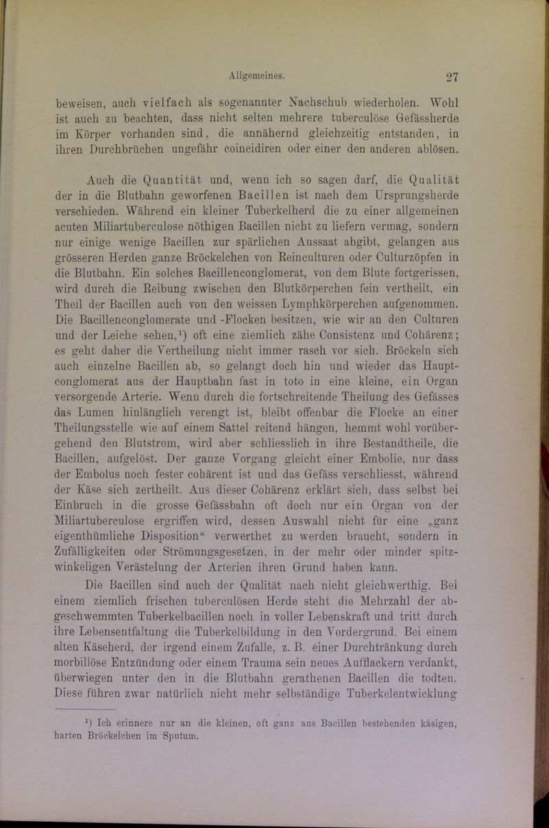 beweisen, auch vielfach als sogenannter Nachschub wiederholen. Wohl ist auch zu beachten, dass nicht selten mehrere tuberculöse Gefässherde im Körper vorhanden sind, die annähernd gleichzeitig entstanden, in ihren Durchbrüchen ungefähr coincidiren oder einer den anderen ablösen. Auch die Quantität und, wenn ich so sagen darf, die Qualität der in die Blutbahn geworfenen Bacillen ist nach dem Ursprungsherde verschieden. Während ein kleiner Tuberkelherd die zu einer allgemeinen acuten Miliartuberculose nöthigen Bacillen nicht zu liefern vermag, sondern nur einige wenige Bacillen zur spärlichen Aussaat abgibt, gelangen aus grösseren Herden ganze Bröckelchen von Reinculturen oder Culturzöpfen in die Blutbahn. Ein solches Bacillenconglomerat, von dem Blute fortgerissen, wird durch die Reibung zwischen den Blutkörperchen fein vertheilt, ein Theil der Bacillen auch von den weissen Lymphkörperchen aufgenommen. Die Bacillenconglomerate und -Flocken besitzen, wie wir an den Oulturen und der Leiche sehen,1) oft eine ziemlich zähe Consistenz undCohärenz; es geht daher die Vertheilung nicht immer rasch vor sich. Bröckeln sich auch einzelne Bacillen ab, so gelangt doch hin und wieder das Haupt- conglomerat aus der Hauptbahn fast in toto in eine kleine, ein Organ versorgende Arterie. Wenn durch die fortschreitende Theilung des Gefässes das Lumen hinlänglich verengt ist, bleibt offenbar die Flocke an einer Theilungsstelle wie auf einem Sattel reitend hängen, hemmt wohl vorüber- gehend den Blutstrom, wird aber schliesslich in ihre Bestandtheile, die Bacillen, aufgelöst. Der ganze Vorgang gleicht einer Embolie, nur dass der Embolus noch fester cohärent ist und das Gefäss verschliesst, während der Käse sich zertheilt. Aus dieser Cohärenz erklärt sich, dass selbst bei Einbruch in die grosse Gefässbahn oft doch nur ein Organ von der Miliartuberculose ergriffen wird, dessen Auswahl nicht für eine „ganz eigenthümliche Disposition“ verwerthet zu werden braucht, sondern in Zufälligkeiten oder Strömungsgesetzen, in der mehr oder minder spitz- winkeligen Verästelung der Arterien ihren Grund haben kann. Die Bacillen sind auch der Qualität nach nicht gleichwertig. Bei einem ziemlich frischen tuberculösen Herde steht die Mehrzahl der ab- geschwemraten Tuberkelbacillen noch in voller Lebenskraft und tritt durch ihre Lebensentfaltung die Tuberkelbildung in den Vordergrund. Bei einem alten Käseherd, der irgend einem Zufalle, z. B. einer Durchtränkung durch morbillöse Entzündung oder einem Trauma sein neues Aufflackern verdankt, überwiegen unter den in die Blutbahn gerathenen Bacillen die todten. Diese führen zwar natürlich nicht mehr selbständige Tuberkelentwicklung x) Ich erinnere nur an die kleinen, oft ganz aus Bacillen bestehenden käsigen, harten Bröckelchen im Sputum.