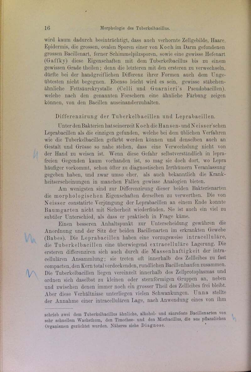 wird kaum dadurch beeinträchtigt, dass auch verhornte Zellgebilde, Haare. Epidermis, die grossen, ovalen Sporen einer von Koch im Darm gefundenen grossen Bacillenart, ferner Schimmelpilzsporen, sowie eine gewisse Hefenart (Gaffkv) diese Eigenschaften mit dem Tuberkelbacillus bis zu einem gewissen Grade theilen; denn die letzteren mit den ersteren zu verwechseln, dürfte bei der handgreiflichen Differenz ihrer Formen auch dem Unge- übtesten nicht begegnen. Ebenso leicht wird es sein, gewisse stäbchen- ähnliche Fettsäurekrystalle (Celli und Guarnieri’s Pseudobacillen), welche nach den genannten Forschern eine ähnliche Färbung zeigen können, von den Bacillen auseinanderzuhalten. Differenzirung der Tuberkelbacillen und Leprabacillen. Unter den Bakterien hat seinerzeit Koch die Hansen- und N ei s s er’schen Leprabacillen als die einzigen gefunden, welche bei dem üblichen Verfahren wie die Tuberkelbacillen gefärbt werden können und denselben auch an Gestalt und Grösse so nahe stehen, dass eine Verwechslung nicht von der Hand zu weisen ist. Wenn diese Gefahr selbstverständlich in lepra- freien Gegenden kaum vorhanden ist, so mag sie doch dort, wo Lepra häufiger vorkommt, schon öfter zu diagnostischen Irrthümern Veranlassung- gegeben haben, und zwar umso eher, als auch bekanntlich die Krank- heitserscheinungen in manchen Fällen gewisse Analogien bieten. Am wenigsten sind zur Differenzirung dieser beiden Bakterienarten die morphologischen Eigenschaften derselben zu verwerthen. Die von Neisser constatirte Verjüngung der Leprabacillen an einem Ende konnte Baumo-arten nicht mit Sicherheit wiederfinden. Sie ist auch ein viel zu Ö subtiler Unterschied, als dass er praktisch in Frage käme. Einen besseren Anhaltspunkt zur Unterscheidung gewähren die Anordnung und der Sitz der beiden Bacillenarten im erkrankten Gewebe (Babes). Die Leprabacillen haben eine vorzugsweise intracelluläre, die Tuberkelbacillen eine überwiegend extracelluläre Lagerung. Die ersteren differenziren sich auch durch die Massenhaftigkeit der intra- cellulären Ansammlung; sie treten oft innerhalb des Zellleibes zu fast compacten, den Kern total verdeckenden, rundlichen Bacillenhaufen zusammen. Die Tuberkelbacillen liegen vereinzelt innerhalb des Zellprotoplasmas und ordnen sich daselbst zu kleinen oder sternförmigen Gruppen an, neben und zwischen denen immer noch ein grosser Theil des Zellleibes frei bleibt. Aber diese Verhältnisse unterliegen vielen Schwankungen. Unna stellte der Annahme einer intracellulären Lage, nach Anwendung eines von ihm schrieb zwei dem Tuberkelbaeillus ähnliche, alkohol- und säurefeste Bacillenarten von sehr schnellem Wachsthum, den Timothee- und den Mistbacillus, die aus pflanzlichen Organismen gezüchtet wurden. Näheres siehe Diagnose.