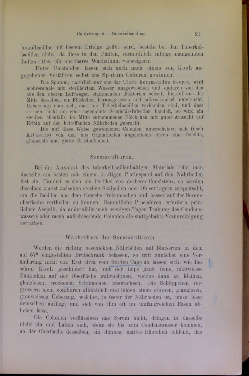 brandbacillus mit bestem Erfolge geübt wird, besteht bei den Tuberkel- bacillen nicht, da diese in den Platten, vermuthlich infolge mangelnden Luftzutrittes, ein merkbares Wachsthum verweigern. Unter Umständen lassen sich auch nach einem von Koch an- gegebenen Verfahren selbst aus Sputum Culturen gewinnen. Das Sputum, natürlich nur aus der Tiefe kommendes Secret, wird mehreremale mit sterilisirtem Wasser ausgewaschen und dadurch von den aus den oberen Luftwegen stammenden Bakterien befreit, hierauf aus der Mitte desselben ein Flöckchen herausgerissen und mikroskopisch untersucht. Ueberzeugt man sich, dass nur Tuberkelbacillen vorhanden sind, und dass es sich nicht um eine sogenannte Secundär-Infection handelt, so wird ein zweites, ebenfalls der Mitte entnommenes Flöckchen mit guter Aussicht auf Erfolg auf den betreffenden Nährboden gebracht. Die auf diese Weise gewonnenen Colonien unterscheiden sich (nach Kitasato) von den aus Organtheilen abgeleiteten durch eine feuchte, glänzende und glatte Beschaffenheit. Serum culturen. Bei der Aussaat des tuberkelbacillenhaltigen Materials reibt man dasselbe am besten mit einem kräftigen Platinspatel auf den Nährboden fest ein. Handelt es sich um Partikel von derberer Consistenz, so werden dieselben zuerst zwischen sterilen Skalpellen oder Objectträgern zerquetscht, um die Bacillen aus dem Gewebe freizumachen und besser auf der Serum- oberfläche vertheilen zu können. Sämmtliche Proceduren erfordern pein- lichste Aseptik, da andernfalls nach wenigen Tagen Trübung des Condens- wassers oder rasch aufschiessende Colonien die stattgehabte Verunreinigung verrathen. Wachsthum der Serumculturen. Werden die richtig beschickten Nährböden auf Blutserum in dem auf 37° eingestellten Brutschrank belassen, so tritt zunächst eine Ver- änderung nicht ein. Erst circa vom fünften Tage an lassen sich, wie dies schon Koch geschildert hat, mit der Lupe ganz feine, mattweisse Pünktchen auf der Oberfläche wahrnehmen, welche dann zu kleinen, glanzlosen, trockenen Schüppchen auswachsen. Die Schüppchen ver- grössern sich, confluiren allmählich und bilden einen dünnen, glanzlosen, grauweissen Ueberzug, welcher, je fester der Nährboden ist, umso loser demselben aufliegt und sich von ihm oft im umfangreichen Basen ab- heben lässt. Die Colonien verflüssigen das Serum nicht, dringen in dasselbe nicht ein und halten sich, wenn sie bis zum Condenswasser kommen, an der Oberfläche desselben, ein dünnes, mattes Häutchen bildend, das