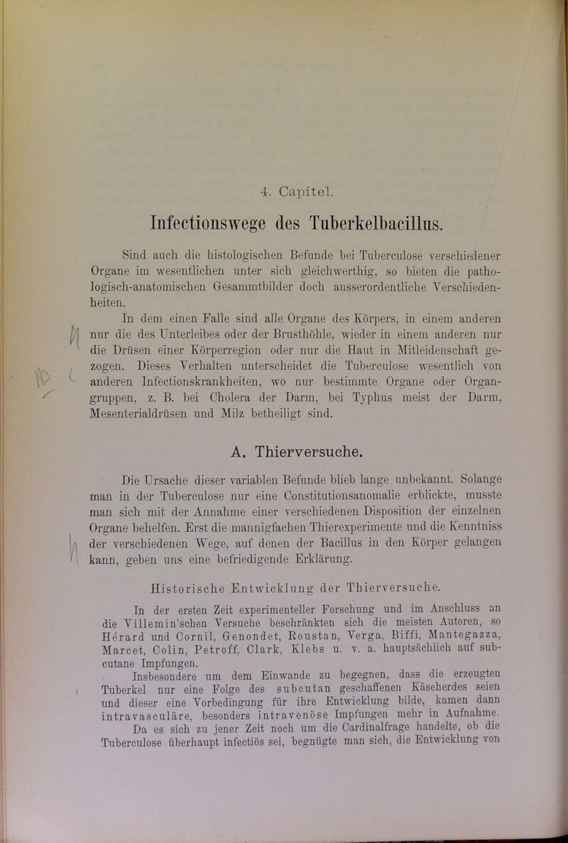 4. Capitel. Infectionswege des Tuberkelbacillus. Sind auch die histologischen Befunde hei Tuberculose verschiedener Organe im wesentlichen unter sich gleichwerthig, so bieten die patho- logisch-anatomischen Gesammtbilder doch ausserordentliche Verschieden- heiten. In dem einen Falle sind alle Organe des Körpers, in einem anderen nur die des Unterleibes oder der Brusthöhle, wieder in einem anderen nur die Drüsen einer Körperregion oder nur die Haut in Mitleidenschaft ge- zogen. Dieses Verhalten unterscheidet die Tuberculose wesentlich von anderen Infectionskrankheiten, wo nur bestimmte Organe oder Organ- gruppen, z. B. bei Cholera der Darm, bei Typhus meist der Darm, Mesenterialdrüsen und Milz betheiligt sind. A. Thierversuehe. Die Ursache dieser variablen Befunde blieb lange unbekannt. Solange man in der Tuberculose nur eine Constitutionsanomalie erblickte, musste man sich mit der Annahme einer verschiedenen Disposition der einzelnen Organe behelfen. Erst die mannigfachen Thierexperimente und die Kenntniss der verschiedenen Wege, auf denen der Bacillus in den Körper gelangen kann, geben uns eine befriedigende Erklärung. Historische Entwicklung der Thierversuche. In der ersten Zeit experimenteller Forschung und im Anschluss an die Villemin’schen Versuche beschränkten sich die meisten Autoren, so Herard und Cornil, Genondet, Roustan, Verga, Biffi, Mantegazza, Marcet, Colin, Petroff, Clark, Klebs u. v. a. hauptsächlich auf sub- cutane Impfungen. Insbesondere um dem Einwande zu begegnen, dass die erzeugten Tuberkel nur eine Folge des subcutan geschaffenen Käseherdes seien und dieser eine Vorbedingung für ihre Entwicklung bilde, kamen dann intravasculäre, besonders intravenöse Impfungen mehr in Aufnahme. Da es sich zu jener Zeit noch um die Cardinalfrage handelte, ob die Tuberculose überhaupt infectiös sei, begnügte man sich, die Entwicklung von