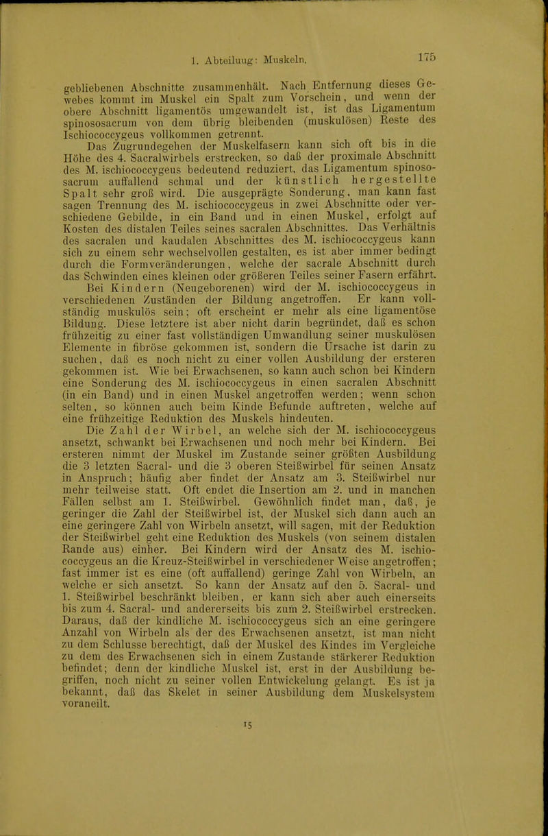 gebliebenen Abschnitte zusammenhält. Nach Entfernung dieses Ge- webes kommt im Muskel ein Spalt zum Vorschein, und wenn der obere Abschnitt ligamentös umgewandelt ist, ist das Ligamentum spinososacrum von dem übrig bleibenden (muskulösen) Reste des Ischiococcygeus vollkommen getrennt. Das Zugrundegehen der Muskelfasern kann sich oft bis in die Höhe des 4. Sacralwirbels erstrecken, so daß der proximale Abschnitt des M. ischiococcygeus bedeutend reduziert, das Ligamentum spinoso- sacrum auffallend schmal und der künstlich hergestellte Spalt sehr groß wird. Die ausgeprägte Sonderung, man kann fast sagen Trennung des M. ischiococcygeus in zwei Abschnitte oder ver- schiedene Gebilde, in ein Band und in einen Muskel, erfolgt auf Kosten des distalen Teiles seines sacralen Abschnittes. Das Verhältnis des sacralen und kaudalen Abschnittes des M. ischiococcygeus kann sich zu einem sehr wechselvollen gestalten, es ist aber immer bedingt durch die Formveränderungen, welche der sacrale Abschnitt durch das Schwinden eines kleinen oder größeren Teiles seiner Fasern erfährt. Bei Kindern (Neugeborenen) wird der M. ischiococcygeus in verschiedenen Zuständen der Bildung angetroffen. Er kann voll- ständig muskulös sein; oft erscheint er mehr als eine ligamentöse Bildung. Diese letztere ist aber nicht darin begründet, daß es schon frühzeitig zu einer fast vollständigen Umwandlung seiner muskulösen Elemente in fibröse gekommen ist, sondern die Ürsache ist darin zu suchen, daß es noch nicht zu einer vollen Ausbildung der ersteren gekommen ist. Wie bei Erwachsenen, so kann auch schon bei Kindern eine Sonderung des M. ischiococcygeus in einen sacralen Abschnitt (in ein Band) und in einen Muskel angetroffen werden; wenn schon selten, so können auch beim Kinde Befunde auftreten, welche auf eine frühzeitige Reduktion des Muskels hindeuten. Die Zahl der Wirbel, an welche sich der M. ischiococcygeus ansetzt, schwankt bei Erwachsenen und noch mehr bei Kindern. Bei ersteren nimmt der Muskel im Zustande seiner größten Ausbildung die 3 letzten Sacral- und die 3 oberen Steißwirbel für seinen Ansatz in Anspruch; häufig aber findet der Ansatz am 3. Steißwirbel nur mehr teilweise statt. Oft endet die Insertion am 2. und in manchen Fällen selbst am 1. Steißwirbel. Gewöhnlich findet man, daß, je geringer die Zahl der Steißwirbel ist, der Muskel sich dann auch an eine geringere Zahl von Wirbeln ansetzt, will sagen, mit der Reduktion der Steißwirbel geht eine Reduktion des Muskels (von seinem distalen Rande aus) einher. Bei Kindern wird der Ansatz des M. ischio- coccygeus an die Kreuz-Steißwirbel in verschiedener Weise angetroffen; fast immer ist es eine (oft auffallend) geringe Zahl von Wirbeln, an welche er sich ansetzt. So kann der Ansatz auf den 5. Sacral- und 1. Steißwirbel beschränkt bleiben, er kann sich aber auch einerseits bis zum 4. Sacral- und andererseits bis zum 2. Steißwirbel erstrecken. Daraus, daß der kindliche M. ischiococcygeus sich an eine geringere Anzahl von Wirbeln als der des Erwachsenen ansetzt, ist man nicht zu dem Schlüsse berechtigt, daß der Muskel des Kindes im Vergleiche zu dem des Erwachsenen sich in einem Zustande stärkerer Reduktion befindet; denn der kindliche Muskel ist, erst in der Ausbildung be- griffen, noch nicht zu seiner vollen Entwickelung gelangt. Es ist ja bekannt, daß das Skelet in seiner Ausbildung dem Muskelsystem voraneilt. IS