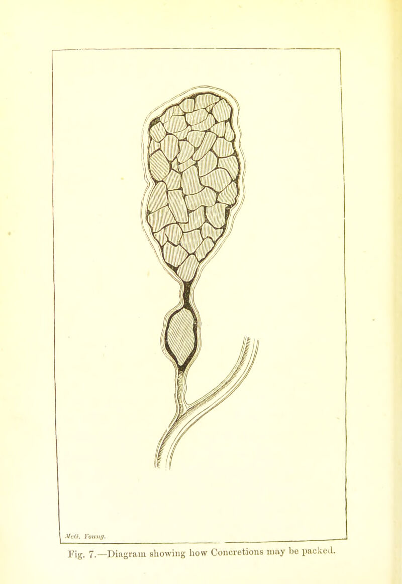 Fig. 7.—Diiigrain showing how Concretions may be packeil.