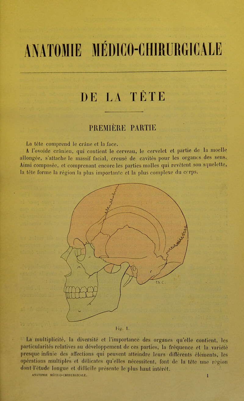 AMÏOMIE MÉDICO-CHIRURGICALE DE LA ÏÊTE PREMIÈRE PARTIE La tète comprend le crâne et la face. A l'ovoïde crânien, qui contient le cerveau, le cervelet et partie de la moelle allongée, s'attache le massif facial, creusé de cavités pour les organes des sens. Ainsi composée, et comprenant encore les parties molles qui revêtent son squelette, la téle forme la région la plus importante et la plus complexe du crrps. La multiplicilé, la diversité et l'importance des organes qu'elle contient, les particularités relatives au développement de ces parties, la fréquence et la variété presque infinie des affections qui peuvent atteindre leurs différents éléments, les opérations multiples et délicates qu'elles nécessitent, font de la tête une région dont l'étude longue et difficile présente le plus haut intérêt.