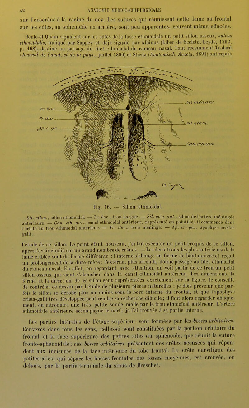 sur l'exocrâne à la racine du nez. Les sulures qui réunissent cette lame au frontal sur les côtés, au sphénoïde en arrière, sont peu apparentes, souvent môme efîacées. Henle et Qiiain signalent sur les côtés de la i'osse ethmoïdale un petit sillon osseux, sulcus elhmdidalis, indiqué par Sappey et déjà signalé par Albinus (Liber de Scelelo, Leyde, 1762, p. 168), destiné au passage du filet ethmoïdal du rameau nasal. Tout récemment Trolard (Journal de Variât, et de la phijs., juillet 1890) et Slieda (Anaiomisch. Anzeuj. 1891) ont repris Fig. 16. — Sillon ethmoïdal. Sil. elhm., sillon etlimoïdal. — 3V. bor., trou borgne. — Sil. mcii. ani.. sillon de l'artère méningée antérieure. — Can. eth aut., canal ethmoïdal antérieur, représenté en pointillé; il commence dans l'orbite au trou ethmoïdal antérieur. — Tr. dur., trou méningé. — Ap. cr. ga., apophyse crista- galli. l'étude de ce sillon. Le point étant nouveau, j'ai fait exécuter un petit croquis de ce sillon, après l'a voir étudié sur un grand nombre de crânes. — Les deux trous les plus antérieurs delà lame criblée sont de forme différente : l'interne s'allonge en forme de boutonnière et reçoit un prolongement de la dure-mère; l'externe, plus arrondi, donne passage au filet ethmoïdal du rameau nasal. En effet, en regardant avec attention, on voit partir de ce trou un petit sillon osseux qui vient s'aboucher dans le canal ethmoïdal antérieur. Les dimensions, la forme et la direclion de ce sillon sont représentées exactement sur la figure. Je conseille de contrôler ce dessin par l'étude de plusieurs pièces naturelles : je dois prévenir que par- fois le sillon se dérobe plus ou moins sous le bord interne du frontal, et que l'apophyse crisla-galli très développée peut rendre sa recherche difficile; il faut alors regarder oblique- ment, ou introduire une très petite sonde molle par le trou ethmoïdal antérieur. L'artère ethmoïdale antérieure accompagne le nerf; je l'ai trouvée à sa partie interne. Les parties latérales de l'étage supérieur sont formées par les bosses orhilaires. Convexes dans tous les sens, celles-ci sont constituées par la portion orbitaire du frontal et la face supérieure des petites ailes du sphénoïde, que réunit la suture fronto-sphénoïdale; ces bosses orbilaires présentent des crêtes accusées qui répon- dent aux incisures de la face inférieure du lobe frontal. La crête curviligne des petites ailes, qui sépare les bosses frontales des fosses moyennes, est creusée, on dehors, par la partie terminale du sinus de Breschet.