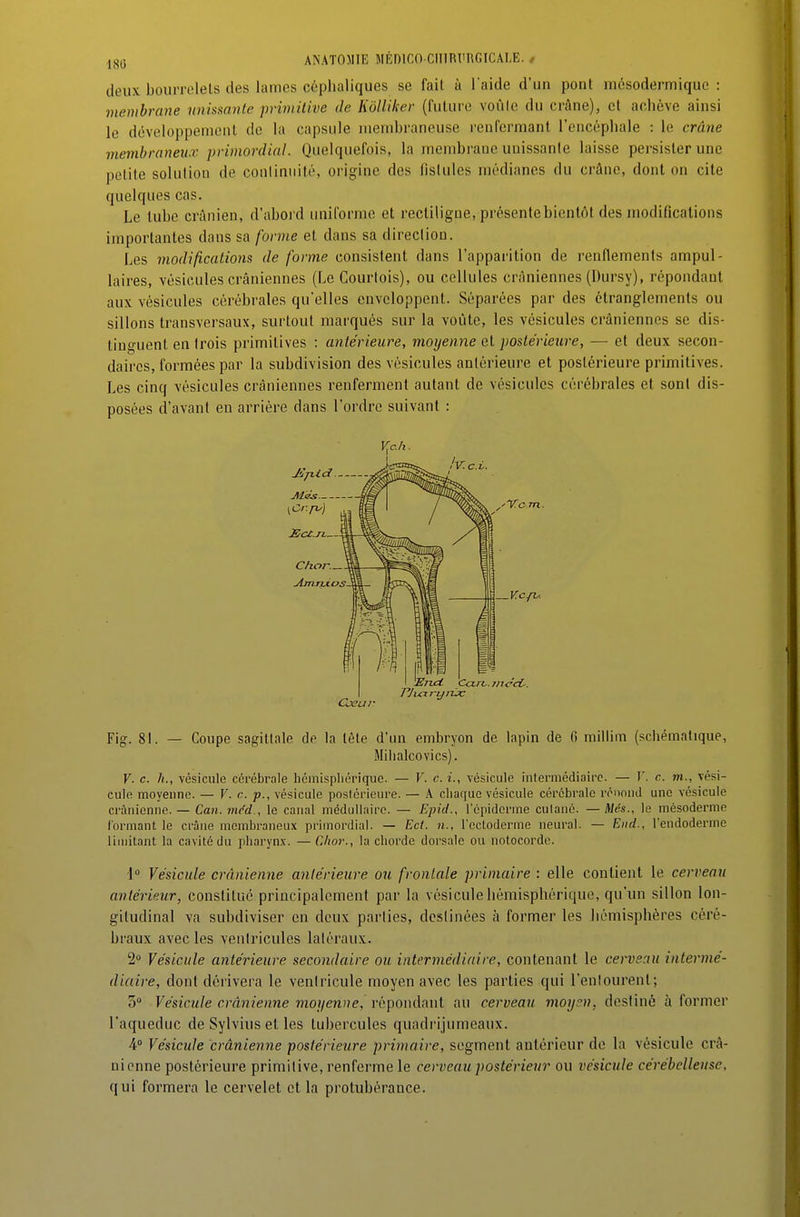 deux bourrelets des lames céphaliques se fait à laide d'un pont mcsodermique : membrane unissante primitive de Kôlliker (fulLU'o voûle du crâne), et achève ainsi le dovoloppenieiil do la capsule membraneuse renfermant l'encéphale : le crmie membraneux primordial. Quelquefois, la membrane unissante laisse persister une petite solution de conlinnité, origine des fistules médianes du crâne, dont on cite quelques cas. Le tube crânien, d'aboi d uniforme et recliligue, présente bientôt des modifications importantes dans sa forme et dans sa direction. Les modifications de forme consistent dans l'apparition de renflements ampul- laires, vésicules crâniennes (Le Courlois), ou cellules crâniennes (Dursy), répondant aux vésicules cérébrales qu'elles enveloppent. Séparées par des étranglements ou sillons transversaux, surtout marqués sur la voûte, les vésicules crâniennes se dis- tinguent en trois primitives : antérieure, moyenne et postérieure, — et deux secon- daires, formées par la subdivision des vésicules antérieure et postérieure primitives. Les cinq vésicules crâniennes renferment autant de vésicules cérébrales et sont dis- posées d'avant en arriére dans l'ordre suivant : V^ah. I )End. Ca.rc.7ne'cC. PJi^xrtjiix Cxur Fig. 81. — Coupe sagittale de la tête d'un embryon de lapin de 6 millim (schématique, Mihalcovics). V. c. h., vésicule cérébrale liémispliérique. — V. c. i., vésicule inlermédiairc. — T'. c m., vési- cule moyenne. — F. c. p., vésicule postérieure. — A cliaquc vésicule cérébrale rénond une vésicule crânienne. — Can.mc'd-, le canal médullaire. — Ejnd., l'épiderme culané. —Més., le mésoderme formant le crâne membraneux primordial. — Ed. n., l'ectoderme neural. — End., l'endoderme limitant la cavité du pliaryn.v. — CJior., la chorde dorsale ou notocorde. 1 Vésicule crânienne antérieure ou frontale primaire : elle contient le cerveau antérieur, constitué principalement par la vésicule hémisphérique, qu'un sillon lon- gitudinal va subdiviser en deux parties, destinées à former les hémisphères céré- braux avec les ventricules latéraux. 2 Vésicule antérieure secondaire ou intermédiaire, contenant le cerveau intermé- diaire, dont dérivera le ventricule moyen avec les parties qui l'enlourenl; 3° Vésicule crânienne moyenne^ répondant au cerveau moy?n, destiné à former l'aqueduc de Sylvius et les tubercules quadrijumeaiix. 4° Vésicule crânienne postérieure primaire, segment antérieur de la vésicule crâ- nienne postérieure primitive, renferme le cerveau postérieur ou vésicule cérébelleuse, qui formera le cervelet et la protubérance.