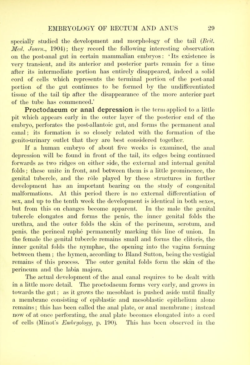 specially studied the development and morphology of the tail {Brit. Med. Jourii., 1904); they record the following interesting observation on the post-anal gut in certain mammalian embryos: ' Its existence is very transient, and its anterior and posterior parts remain for a time after its intermediate portion has entirely disappeared, indeed a solid cord of cells which represents the terminal portion of the post-anal portion of the gut continues to be formed by the undifferentiated tissue of the tail tip after the disappearance of the more anterior part of the tube has commenced.' Proctodaeum or anal depression is the term applied to a little pit which appears early in the outer layer of the posterior end of the embryo, perforates the post-allantoic gut, and forms the permanent anal canal; its formation is so closely related with the formation of the genito-urinary outlet that they are best considered together. If a human embryo of about five weeks is examined, the anal depression will be found in front of the tail, its edges being continued forwards as two ridges on either side, the external and internal genital folds; these unite in front, and between them is a little prominence, the genital tubercle, and the role played by these structures in further development has an important bearing on the study of congenital malformations. At this period there is no external differentiation of sex, and up to the tenth week the development is identical in both sexes, but from this on changes become apparent. In the male the genital tubercle elongates and forms the penis, the inner genital folds the urethra, and the outer folds the skin of the perineum, scrotum, and penis, the perineal raphe permanently marking this line of union. In the female the genital tubercle remains small and forms the clitoris, the inner genital folds the nymphae, the opening into the vagina forming between them ; the hymen, according to Bland Sutton, being the vestigial remains of this process. The outer genital folds form the skin of the perineum and the labia majora. The actual development of the anal canal requires to be dealt with in a little more detail. The proctodaeum forms very early, and grows in towards the gut; as it grows the mesoblast is pushed aside until finally a membrane consisting of epiblastic and mesoblastic epithelium alone remains ; this has been called the anal plate, or anal membrane ; instead now of at once perforating, the anal plate becomes elongated into a cord of cells (Minot's Emhryolog)/, p. 190). This has been observed in the