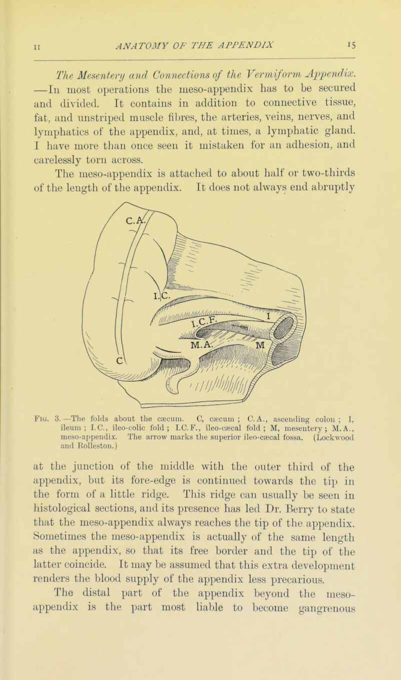 The Mesentery and Connections of the Vermiform Appendix. —In most operations the meso-appendix has to be secured and divided. It contains in addition to connective tissue, fat, and unstriped muscle fibres, the arteries, veins, nerves, and lymphatics of the appendix, and, at times, a lymphatic gland. I have more than once seen it mistaken for an adhesion, and carelessly torn across. The ineso-appendix is attached to about half or two-thirds of the length of the appendix. It does not always end abruptly Flu. 3.—The folds about the caecum. C, c;ecum ; C.A., ascending colon; I, ileum; I.C., ileo-colic fold; I.C.F., ileo-caecal fold; M, mesentery; M.A., meso-appendix. The arrow marks the superior ileo-caecal fossa. (Lockwood and Rolleston.) at the junction of the middle with the outer third of the appendix, but its fore-edge is continued towards the tip in the form of a little ridge. This ridge can usually be seen in histological sections, and its presence has led Dr. Berry to state that the meso-appendix always reaches the tip of the appendix. Sometimes the meso-appendix is actually of the same length as the appendix, so that its free border and the tip of the latter coincide. It may be assumed that this extra, development renders the blood supply of the appendix less precarious. The distal part of the appendix beyond the meso- appendix is the part most liable to become gangrenous