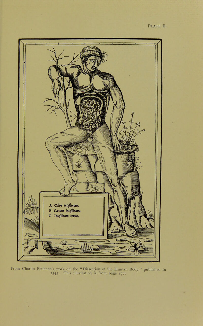 PLATE II. From Charles Eslienne's work on the  Dissection of the Human Body, published in 1545. This illustration is from page 172.