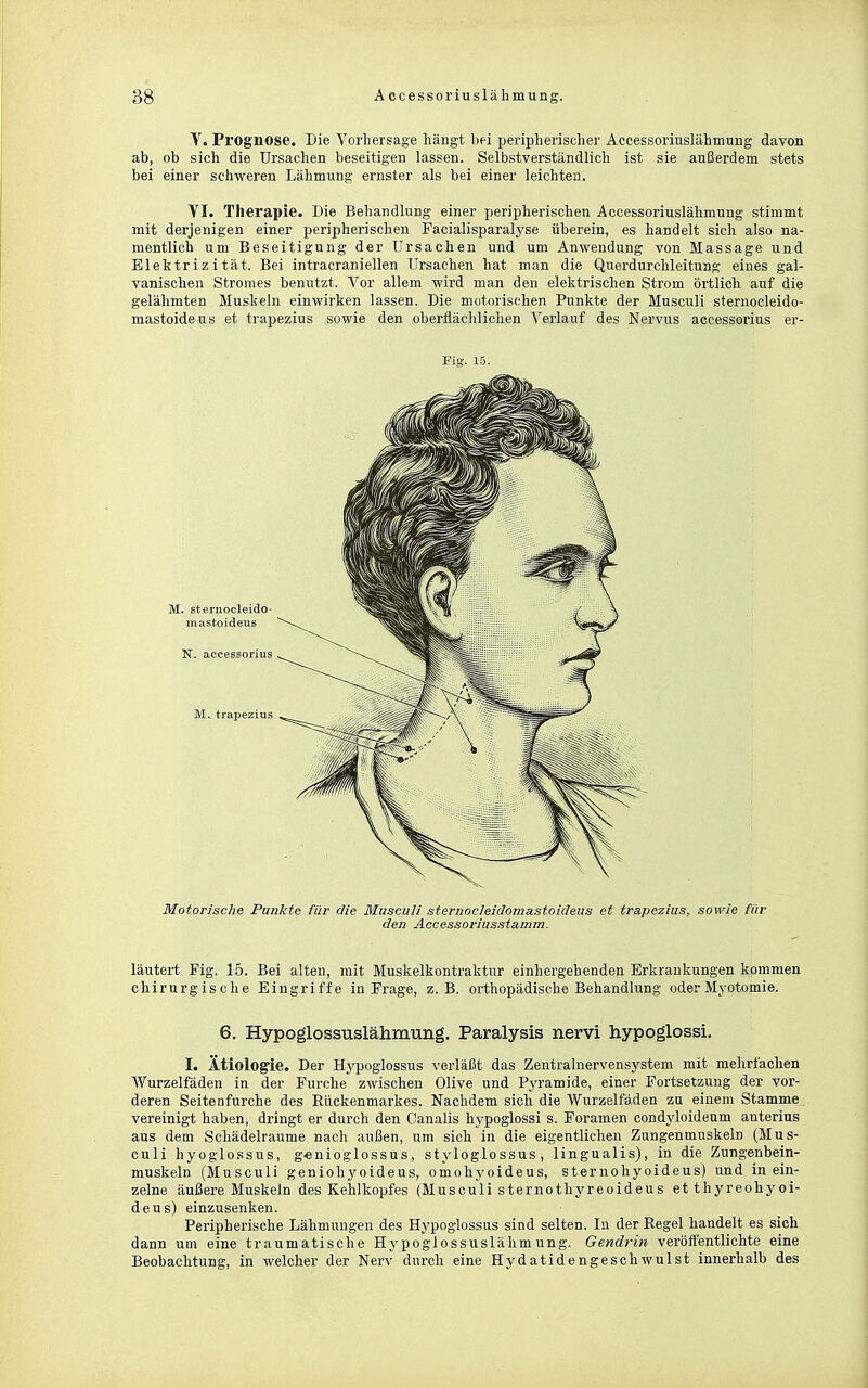 T. Prognose. Die Vorhersage hängt bei peripherischer Accessoriuslähmung davon ab, ob sich die Ursachen beseitigen lassen. Selbstverständlich ist sie außerdem stets bei einer schweren Lähmung ernster als bei einer leichten. VI. Therapie. Die Behandlung einer peripherischen Accessoriuslähmung stimmt mit derjenigen einer peripherischen Facialisparalyse überein, es handelt sich also na- mentlich um Beseitigung der Ursachen und um Anwendung von Massage und Elektrizität. Bei intracraniellen Ursachen hat man die Querdurchleitung eines gal- vanischen Stromes benutzt. Vor allem wird man den elektrischen Strom örtlich auf die gelähmten Muskeln einwirken lassen. Die motorischen Punkte der Musculi sternocleido- mastoideus et trapezius sowie den oberflächlichen Verlauf des Nervus accessorius er- Pig. 15. Motorische Punkte für die Musculi sternocleidomastoideus et trapezius, sowie für den Accessoriusstamm. läutert Fig. 15. Bei alten, mit Muskelkontraktur einhergehenden Erkrankungen kommen chirurgische Eingriffe in Frage, z.B. orthopädische Behandlung oder Myotomie. 6. Hypoglossuslähmung. Paralysis nervi hypoglossi. I. Ätiologie. Der Hypoglossus verläßt das Zentralnervensystem mit mehrfachen Wurzelfäden in der Furche zwischen Olive und Pyramide, einer Fortsetzung der vor- deren Seitenfurche des Eückenmarkes. Nachdem sich die Wnrzelfäden zu einem Stamme vereinigt haben, dringt er durch den Canalis hypoglossi s. Foramen condj'loidenm anterius aus dem Schädelraume nach außen, um sich in die eigentlichen Zungenmuskeln (Mus- culi hyoglossus, g^nioglossus, styloglossus , lingualis), in die Zungenbein- muskeln (Musculi geniohyoideus, omohyoideus, sternohyoideus) und in ein- zelne äußere Muskeln des Kehlkopfes (Musculi sternothyreoideus et thyreohyoi- deus) einzusenken. Peripherische Lähmungen des Hypoglossus sind selten. In der Regel handelt es sich dann um eine traumatische Hypoglossuslähmung. Gendrin veröffentlichte eine Beobachtung, in welcher der Nerv durch eine Hydatidengeschwulst innerhalb des