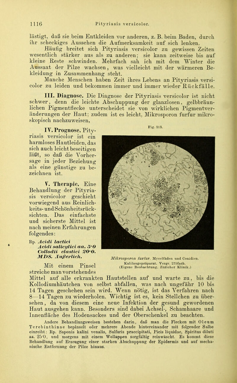 lästigt, daß sie beim Entkleiden vor anderen, z. B. beim Baden, durch ihr scheckiges Aussehen die Aufmerksamkeit auf sich lenken. Häufig breitet sich Pityriasis versicolor zu gewissen Zeiten wesentlich stärker aus als zu anderen; sie kann zeitweise bis auf kleine Reste schwinden. Mehrfach sah ich mit dem Winter die Aussaat der Pilze wachsen, was vielleicht mit der wärmeren Be- kleidung in Zusammenhang steht. Manche Menschen haben Zeit ihres Lebens an Pityriasis versi- color zu leiden und bekommen immer und immer wieder Rückfälle. III. Diagnose. Die Diagnose der Pityriasis versicolor ist nicht schwer, denn die leichte Abschuppung der glanzlosen, gelbbräun- lichen Pigmentflecke unterscheidet sie von wirklichen Pigmentver- änderungen der Haut; zudem ist es leicht, Mikrosporon furfur mikro- skopisch nachzuweisen. IT. Prognose. Pity- riasis versicolor ist ein harmloses Hautleiden, das sich auch leicht beseitigen läßt, so daß die Vorher- sage in jeder Beziehung als eine günstige zu be- zeichnen ist. V. Therapie. Eine Behandlung der Pityria- sis versicolor geschieht vorwiegend aus Reinlich- keits- und Schönheitsrück- sichten. Das einfachste und sicherste Mittel ist nach meinen Erfahrungen folgendes: Rp. Acidi lactici Acidi salicylici aa, 5'0 Collodii elasticl 20-0. MDS. Äußerlich. Mit einem Pinsel streiche man vorstehendes Mittel auf alle erkrankten Hautstellen auf und warte zu, bis die Kollodiumhäutchen von selbst abfallen, was nach ungefähr 10 bis 14 Tagen geschehen sein wird. Wenn nötig, ist das Verfahren nach 8—14 Tagen zu wiederholen. Wichtig ist es, kein Stellchen zu über- sehen , da von diesem eine neue Infektion der gesund gewordenen Haut ausgehen kann. Besonders sind dabei Achsel-, Schamhaare und Innenfläche des Hodensackes und der Oberschenkel zu beachten. Andere Behandlangsweisen bestehen darin, daß man die Flecken mit Oleum Terebintliinae bepinselt oder mehrere Abende hintereinander mit folgender Salbe einreibt: Rp. Saponis kalini venalis, Sulfuris praecipitati, Picis liquidae, Spiritus diluti aa. 25'0, und morgens mit einem Wollappen sorgfältig reinwäscht. Es kommt diese Behandlung auf Erzeugung einer starken Abschuppnng der Epidermis und auf mecha- nische Entfernung der Pilze hinaus. Fig. S13. Mikrosporon farfur. Mycelfäden und Conidien. Kalilaugopräparat. Vergr. 275fach. (Eigene Beobachtung. Züricher Klinik.)
