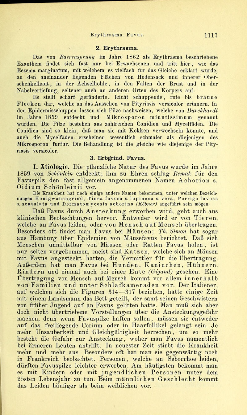 2. Erythrasma. Das von Baerensprung im Jahre 1862 als Erythrasma beschriebene Exanthem findet sich fast nur bei Erwachsenen und tritt hier, wie das Eczema marginatum, mit welchem es vielfach für das Gleiche erklärt wurde, an den aneinander liegenden Flächen von Hodensack und innerer Ober- schenkelhaut , in der Achselhöhle, in den Falten der Brust und in der Nabelvertiefung, seltener auch an anderen Orten des Körpers auf. Es stellt scharf geränderte, leicht schuppende, rote bis braune Flecken dar, welche an das Aussehen von Pityriasis versicolor erinnern. In den Epidermisschuppen lassen sich Pilze nachweisen, welche von Burckhardt im Jahre 1859 entdeckt und Mikrosporon minutissimum genannt wurden. Die Pilze bestehen aus zahlreichen Conidien und Mycelfäden. Die Conidien sind so klein, daß man sie mit Kokken verwechseln könnte, und auch die Mycelfäden erscheinen wesentlich schmaler als diejenigen des Mikrosporon furfur. Die Behandlung ist die gleiche wie diejenige der Pity- riasis versicolor. 3. Erbgrind. Favus. I. Ätiologie. Die pflanzliclie Natur des Favus wurde im Jahre 1839 von Schönlein entdeckt; ihm zu Ehren schlug Remak für den Favuspilz den fast allgemein angenommenen Namen Achorion s. Oidium Schönleinii vor. Die Krankheit hat noch einige andere Namen bekommen, unter welchen Bezeich- nungen Honigwabengrind, Tinea favosa s. lupinosa s. vera, Porrigo favosa s. scntulata und Dermatoni ycosis achorina (Köhner) angeführt sein mögen. Daß Favus durch Ansteckung erworben wird, geht auch aus klinischen Beobachtungen hervor. Entweder wird er von Tieren, welche an Favus leiden, oder von Mensch auf Mensch übertragen. Besonders oft findet man Favus bei Mäusen; Th. Simon hat sogar aus Hamburg über Epidemien von Mäusefavus berichtet. Daß sich Menschen unmittelbar von Mäusen oder Ratten Favus holen, ist nur selten vorgekommen, meist sind Katzen, welche sich an Mäusen mit Favus angesteckt hatten, die Vermittler für die Übertragung. Außerdem hat man Favus bei Hunden, Kaninchen, Hühnern, Rindern und einmal auch bei einer Ente (Gigand) gesehen. Eine Übertragung von Mensch auf Mensch kommt vor allem innerhalb von Familien und unter Schlafkameraden vor. Der Italiener, auf welchen sich die Figuren 314—317 beziehen, hatte einige Zeit mit einem Landsmann das Bett geteilt, der samt seinen Geschwistern von früher Jugend auf an Favus gelitten hatte. Man muß sich aber doch nicht übertriebene Vorstellungen über die Ansteckungsgefahr machen, denn wenn Favuspilze haften sollen, müssen sie entweder auf das freiliegende Corium oder in Haarfollikel gelangt sein. Je mehr ünsauberkeit und Grleichgültigkeit herrschen, um so mehr besteht die Grefahr zur Ansteckung, woher man Favus namentlich bei ärmeren Leuten antriift. In neuester Zeit stirbt die Krankheit mehr und mehr aus. Besonders oft hat man sie gegenwärtig noch in Frankreich beobachtet. Personen, welche an Seborrhoe leiden, dürften Favuspilze leichter erwerben. Am häufigsten bekommt man es mit Kindern oder mit jugendlichen Personen unter dem 25sten Lebensjahr zu tun. Beim männlichen Greschlecht kommt das Leiden häufiger als beim weiblichen vor.