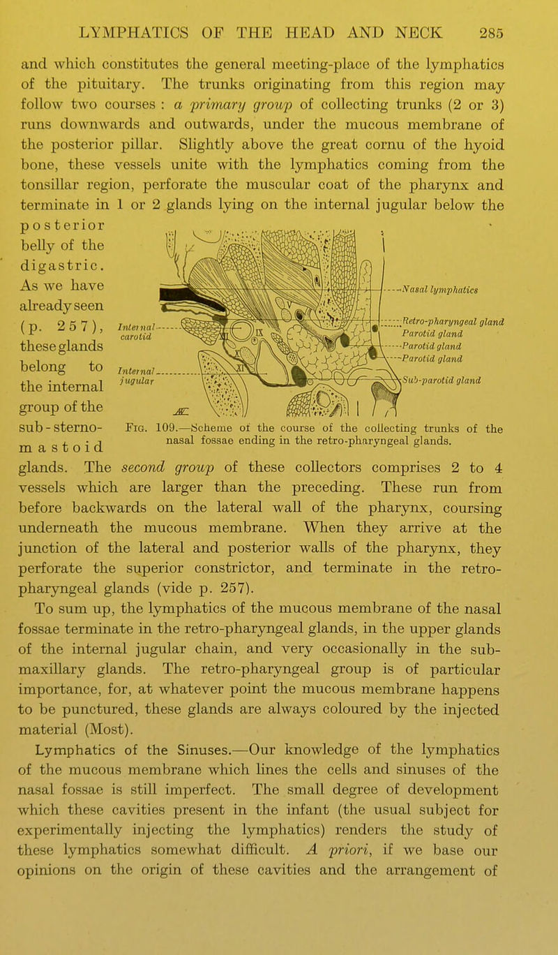 and which constitutes the general meeting-place of the lymphatics of the pituitary. The trunks originating from this region may follow two courses : a primary group of collecting trunks (2 or 3) runs downwards and outwards, under the mucous membrane of the posterior pillar. Slightly above the great cornu of the hyoid bone, these vessels unite with the lymphatics coming from the tonsillar region, perforate the muscular coat of the pharynx and terminate in 1 or 2 glands lying on the internal jugular below the p o s terior belly of the digastric. As we have already seen (p. 257), these glands belong to the internal group of the sub - sterno- mastoid Inlei nal carotid Interna!. jugular -Nasal lymphatics Retro-pharyngeal gland Parotid gland Parotid gland Parotid gland Sub-parotid gland Fig. 109.—Scheme of the course of the collecting trunks of the nasal fossae ending in the retro-pharyngeal glands. glands. The second group of these collectors comprises 2 to 4 vessels which are larger than the preceding. These run from before backwards on the lateral wall of the pharynx, coursing underneath the mucous membrane. When they arrive at the junction of the lateral and posterior walls of the pharynx, they perforate the superior constrictor, and terminate in the retro- pharyngeal glands (vide p. 257). To sum up, the lymphatics of the mucous membrane of the nasal fossae terminate in the retro-pharyngeal glands, in the upper glands of the internal jugular chain, and very occasionally in the sub- maxillary glands. The retro-pharyngeal group is of particular importance, for, at whatever point the mucous membrane happens to be punctured, these glands are always coloured by the injected material (Most). Lymphatics of the Sinuses.—Our knowledge of the lymphatics of the mucous membrane which lines the cells and sinuses of the nasal fossae is still imperfect. The small degree of development which these cavities present in the infant (the usual subject for experimentally injecting the lymphatics) renders the study of these lymphatics somewhat difficult. A priori, if we base our opinions on the origin of these cavities and the arrangement of