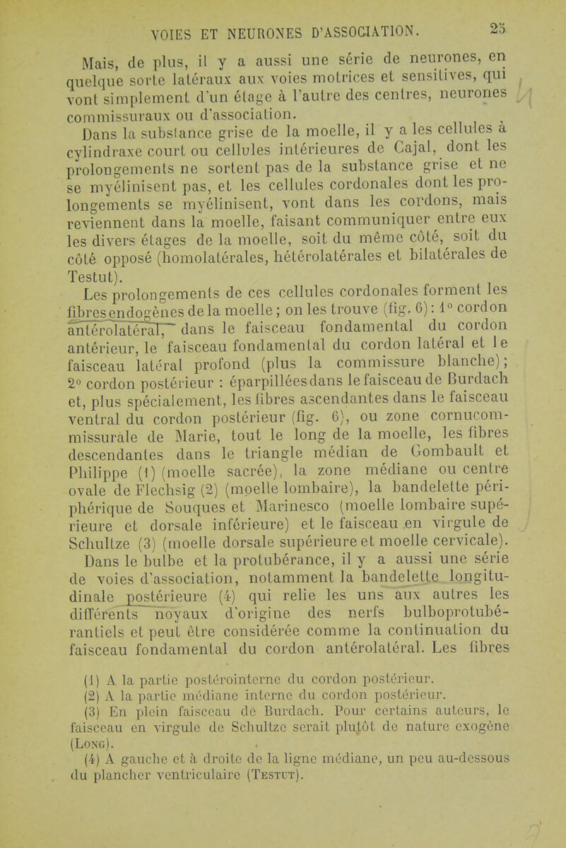 VOIES ET NEURONES D'ASSOCIATION. 23 Mais, de plus, il y a aussi une série de neurones, cri quelque sorte latéraux aux voies motrices et sensitives, qui vont simplement d'un étage à l'autre des centres, neurones commissuraux ou d'association. Dans la subslance grise de la moelle, il y a les cellules a cylindraxe court ou cellules intérieures de Cajal, dont les prolongements ne sortent pas de la substance grise et ne se myclinisent pas, et les cellules cordonales dont les pro- longements se myélinisent, vont dans les cordons, mais reviennent dans la moelle, faisant communiquer entre eux les divers étages de la moelle, soit du même côté, soit du côté opposé (homolatérales, hétérolatérales et bilatérales de Testut). Les prolongements de ces cellules cordonales forment les fibres«i^dogènes delà moelle ; on les trouve (fig. 6) : 1° cordon antérolatémlT dans le faisceau fondamental du cordon antérieur, le faisceau fondamental du cordon latéral et le faisceau latéral profond (plus la commissure blanche); 2° cordon postérieur : éparpilléesdans le faisceau de Burdacli et, plus spécialement, les fibres ascendantes dans le faisceau ventral du cordon postérieur (fig. 6), ou zone cornucom- missurale de Marie, tout le long de la moelle, les fibres descendantes dans le triangle médian de Gombault et Philippe (1) (moelle sacrée), la zone médiane ou centre ovale de Flechsig (2) (moelle lombaire), la bandelette péri- phérique de Souques et Marinesco (moelle lombaire supé- rieure et dorsale inférieure) et le faisceau en virgule de Schultze (3) (moelle dorsale supérieure et moelle cervicale). Dans le bulbe et la protubérance, il y a aussi une série de voies d'association, notamment la bandelette longitu- dinale postérieure (4) qui rehe les uns aux autres les différents noyaux d'origine des nerfs bulboprotubé- ranticls et peut être considérée comme la continuation du faisceau fondamental du cordon antérolatéral. Les fibres (1) A la partie postérointerne du cordon postérieur. (2) A la partie médiane interne du cordon postérieur. (3) En plein faisceau de Burdach. Pour certains auteurs, le faisceau en virgule de Schultze serait plutôt de nature exogène (Long). (4) A gauche et à droite de la ligne médiane, un peu au-dessous du plancher ventriculaire (Testut).