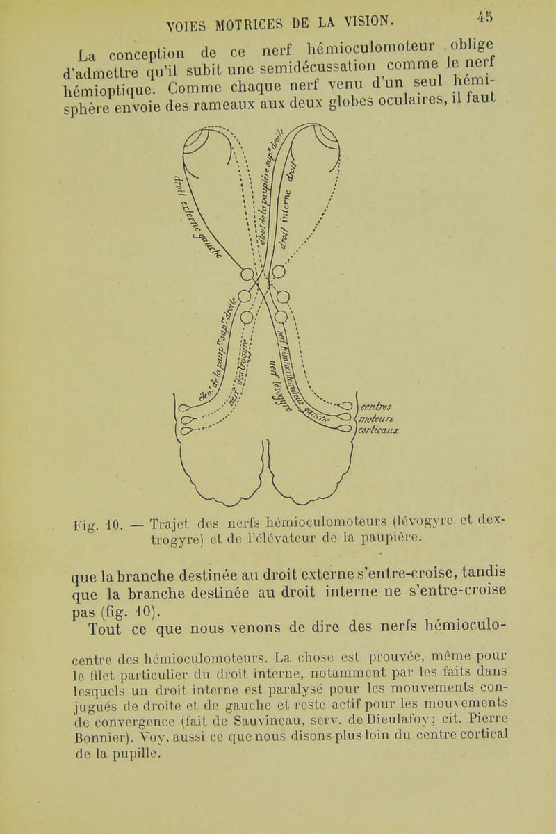 La conception de ce nerf hémioculomoteur oblige d'admettre qu'il subit une semidécussation comme le ne^^ hémioptique. Comme chaque nerf venu d un seu em - sphère envoie des rameaux aux deux globes oculaires, il laut cenbvs nioleurs corltcaiLx Fis;. 10. Trajet des nerfs liémioculomoteurs (lévogyrc et dcx- trogyre) et de l'élévateur de la paupière. que labranche destinée au droit externe s'entre-croise, tandis que la branche destinée au droit interne ne s'entre-croise pas ffig. 10). Tout ce que nous venons de dire des nerfs hémioculo- centre des hémioculomoteurs. La chose est prouvée, même pour le filet particulier du droit interne, notamment par les faits dans lesquels un droit interne est paralysé pour les mouvements con- jugués de droite et de gauche et reste actif pour les mouvements de convergence (fait de Sauvineau, serv. deDieulafoy; cit. Pierre Bonnier). Voy. aussi ce que nous disons plus loin du centre cortical de la pupille.