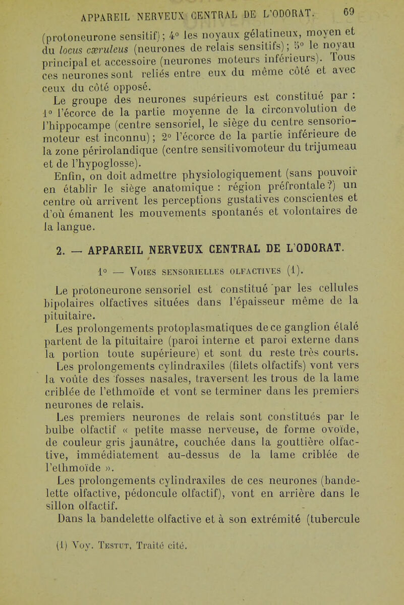 (proloneurone sensiLif); 4° les noyaux gélatineux, moyen et du locus cœruleus (neurones de relais sensiLifs); V,o le noyau principal et accessoire (neurones moteurs inférieurs), lous ces neurones sont reliés entre eux du même côté et avec ceux du côté opposé. , Le groupe des neurones supérieurs est constitue par : 1» i'écorce de la partie moyenne de la circonvolution de l'hippocampe (centre sensoriel, le siège du centre sensorio- moteur est inconnu) ; 2 I'écorce de la partie inférieure de la zone périrolandique (centre sensitivomoteur du trijumeau et de l'hypoglosse). Enfin, on doit admettre physiologiquement (sans pouvoir en établir le siège anatomique : région préfrontale?) un centre où arrivent les perceptions gustatives conscientes et d'où émanent les mouvements spontanés et volontaires de la langue. 2. — APPAREIL NERVEUX CENTRAL DE L'ODORAT. 10 — Voies sensorielles olfactives (i). Le protoneurone sensoriel est constitué par les cellules bipolaires olfactives situées dans l'épaisseur même de la pituitaire. Les prolongements protoplasmatiques de ce ganglion étalé partent de la pituitaire (paroi interne et paroi externe dans la portion toute supérieure) et sont du reste très courts. Les prolongements cylindraxiles (filets olfactifs) vont vers la voûte des fosses nasales, traversent les trous de la lame criblée de fethmoïde et vont se terminer dans les premiers neurones de relais. Les premiers neurones de relais sont constitués par le bulbe olfactif « petite masse nerveuse, de forme ovoïde, de couleur gris jaunâtre, couchée dans la gouttière olfac- tive, immédiatement au-dessus de la lame criblée de l'ethmoïde >). Les prolongements cylindraxiles de ces neurones (bande- lette olfactive, pédoncule olfactif), vont en arrière dans le sillon olfactif. Dans la bandelette olfactive et à son extrémité ftubercule