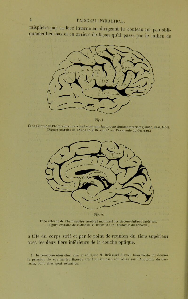 misphère par sa face interne eu dirigeant le couteau un peu obli- quement eu bas et en arrière de façon qu'il passe par Je milieu de Fie Face interne de l'hémisphère cérébral montrant les circonvolutions motrices. (Figure extraite de l'Atlas de M. Brissaud sur l'Analomic du Cerveau.) a tôte du corps strié et par le point de réunion du tiers supérieur avec les deux tiers inférieurs de la couche optique. I. Je remercie mon cher ami et collègue M. Brissaud d'avoir bien voulu me donner la primeur de i^es quatre figures avant qu'ait paru son Atlas sur l'Anatomie du Cer- veau, dont elles sont extraites.