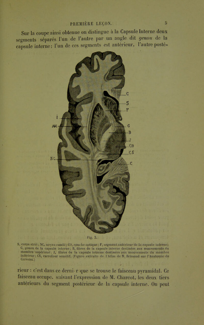 Sur la coupe ainsi obtenue on distingue à la Capsule Interne deux segments séparés l'un de l'autre par un angle dit genou de la capsule interne; l'un de ces segments est antérieur, l'autre posté- Fig. 5. S, corps strie; INC, noyau caudé ; CO, couclie optique ; F, segment antérieur de la capsule Interne; G, genou de la capsule interne; B, fibres de la capsule interne destinées aux mouvements du membre supérieur ; J, libres de la capsule interne destinées aux mouvements du membre intérieur; CS, carrefour sensitif. (Figure extraite de l'Atlas de M. Brissaud sur l'Anatomie du Cerveau.) rieur : c'est dans ce demi' r que se trouve le faisceau pyramidal. Ce faisceau occupe, suivant l'expression de M. Charcot, les deux tiers antérieurs du segment postérieur de la capsule interne. On peut