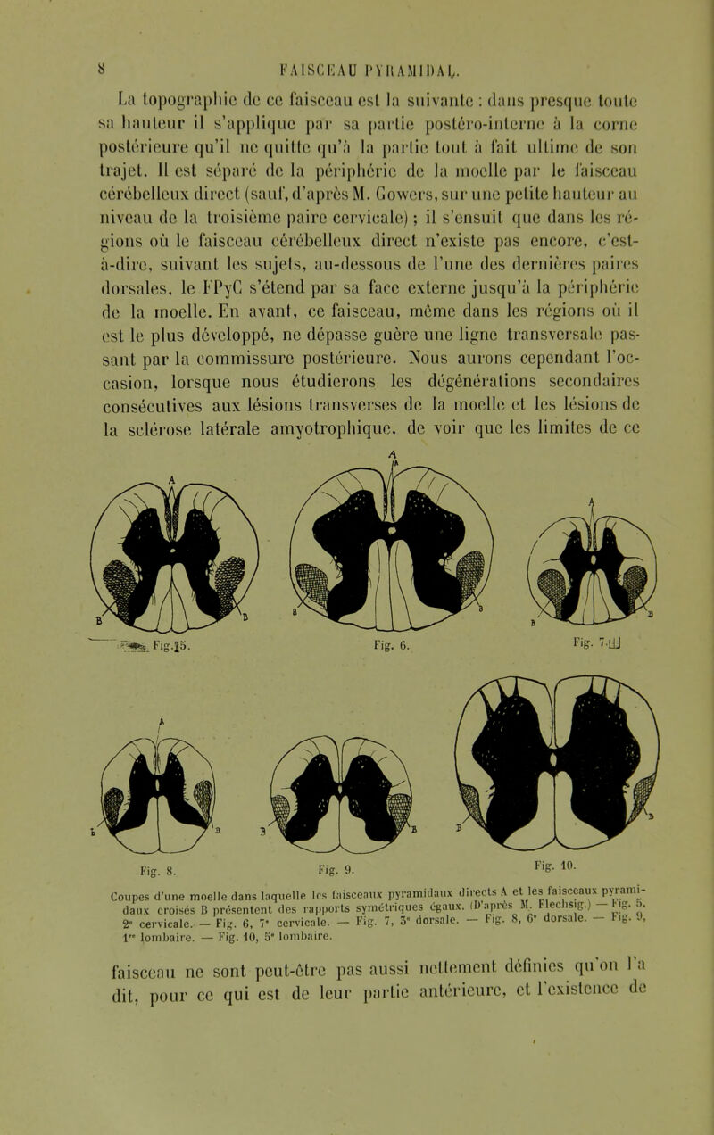 La topographie de ce faisceau esl la suivante : dans presque toute sa hauteur il s'applique pa'r sa partie postéro-interne à la corne postérieure qu'il uc quitte qu'à la partie tout à fait ultime de son trajet. Il est séparé de la périphérie de la moelle par le faisceau cérébelleux direct (sauf, d'après M. Gowers,surune petite hauteur au niveau de la troisième paire cervicale) ; il s'ensuit que dans les ré- gions où le faisceau cérébelleux dircet n'existe pas encore, c'est- à-dire, suivant les sujets, au-dessous de l'une des dernières pain s dorsales, le FPyC s'étend par sa face externe jusqu'à la périphérie de la moelle. En avant, ce faisceau, même dans les régions où il est le plus développé, ne dépasse guère une ligne transversale pas- sant par la commissure postérieure. Nous aurons cependant l'oc- casion, lorsque nous étudierons les dégénérations secondaires consécutives aux lésions Iransvcrses de la moelle et les lésions de la sclérose latérale amyotrophique. de voir que les limites de ce A i lombaire. — Fig. 10, 5* lombaire. faisceau ne sont peut-être pas aussi nettement définies qu'on dit, pour ce qui est de leur partie antérieure, et l'existence