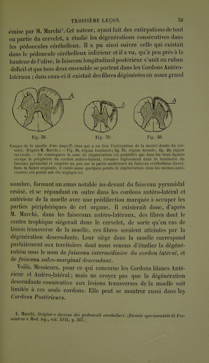 omise par M. Marchi'.Cet auteur, ayant fait des extirpations de tout ou partie du cervelet, a étudié les dégénérations consécutives dans les pédoncules cérébelleux. Il a pu ainsi suivre celle qui existait dans le pédoncule cérébelleux inférieur et il a vu, qu'à peu près à la hauteur de l'olive, le faisceau longitudinal postérieur s'unit au ruban deReil et que tous deux ensemble se portent dans les Cordons Antéro- latéraux ; dans ceux-ci il existait des fibres dégénérées en assez grand f '] \ 1 Y ;• HP | Fig. 58. Fi». 30. Fig. 40. Coupes de la moelle d'un singe(?) chez qui a eu lieu l'extirpation de la moitié droite du cer- velet. (D'après M. Marchi.) — Fig-. 58, région lombaire; fig. 39, région dorsale; fig. 40, région cervicale. — On remarquera la zone de dégénération (en pointillé) qui dans les trois figures occupe la périphérie du cordon autéro-latéral, s'avance légèrement dans le territoire du faisceau pyramidal et empiète un peu sur la parlie antérieure du faisceau cérébelleux direct. Dans la figure originale, il existe aussi quelques points de dégénération dans les racines anté- rieures; ces points ont été négligés ici. nombre, formant un amas notable au-devant du faisceau pyramidal croisé, et se répandant en outre dans les cordons antéro-latéral et antérieur de la moelle avec une prédilection marquée à occuper les parties périphériques de cet organe. Il existerait donc, d'après M. Marchi, dans les faisceaux antéro-latéraux, des fibres dont le centre trophique siégerait dans le cervelet, de sorte qu'en cas de lésion transverse de la moelle, ces fibres seraient atteintes par la dégénération descendante. Leur siège dans la moelle correspond parfaitement aux territoires dont nous venons d'étudier la dégéné- ra tiôn sous le nom de faisceau intermédiaire du cordon latéral, et de faisceau sulco-marginal descendant. Voilà, Messieurs, pour ce qui concerne les Cordons blancs Anté- rieur et Antéro-latéral ; mais ne croyez pas que la dégénération descendante conséculive aux lésions transverses de la moelle soit limitée à ces seuls cordons. Elle peut se montrer aussi dans les Cordons Postérieurs. 1. Marchi, Origine e decorso dei pcdnncoli cerebellari. [Rivista spcrimcntalc di Frc- matria c Med. leg., vol. XVII, p. 3G7.)