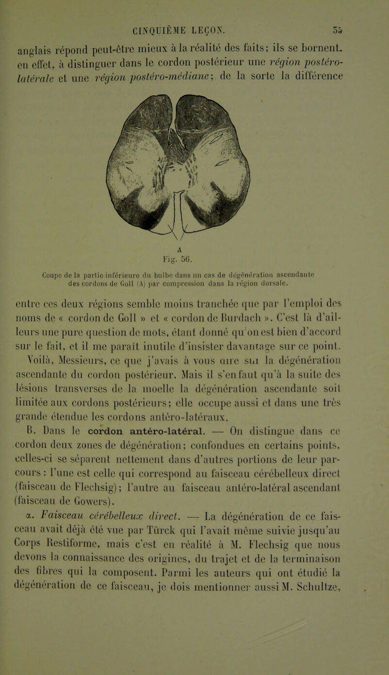 anglais répond peut-ôtre mieux à la réalité des faits; ils se bornent, en effet, à distinguer dans le cordon postérieur une région postéro- latérale et une région postéro-médiane-, de la sorte la différence â Fi g. 50. Coupe de la partie inférieure du bulbe dans un cas de dégénération ascendante des cordons de Goll 'A) par compression dans la légion dorsale. entre ces deux régions semble moins tranchée que par l'emploi des noms de « cordon de Goll » et « cordon de Burdach ». C'est là d'ail- leurs une pure question de mois, étant donné qu'on est bien (raccord sur le fait, et il me parait inutile d'insister davantage sur ce point. Yoilà, Messieurs, ce que j'avais à vous aire sui la dégénération ascendante du cordon postérieur. Mais il s'en tant qu'à la suite des lésions transverses de la moelle la dégénération ascendante soit limitée aux cordons postérieurs; elle occupe aussi et dans une très grande étendue les cordons antéro-latéraux. B. Dans le cordon antéro-latéral. — On distingue dans ce cordon deux zones de dégénération; confondues en certains points, celles-ci se séparent nettement dans d'autres portions de leur par- cours : l'une est celle qui correspond au faisceau cérébelleux direct (faisceau de Flechsig) ; l'autre au faisceau antéro-latéral ascendant (faisceau de Gowers). a. Faisceau cérébelleux direct. — La dégénération de ce fais- ceau avait déjà été vin1 par Tùrck qui l'avait même suivie jusqu'au Corps Restiforme, niais c'est en réalité a M. Flechsig que nous devons la connaissance des origines, du trajet et de la terminaison des fibres qui la composent. Parmi les auteurs qui ont étudié la dégénération de ce faisceau, je dois mentionner aussi M. Schultze,