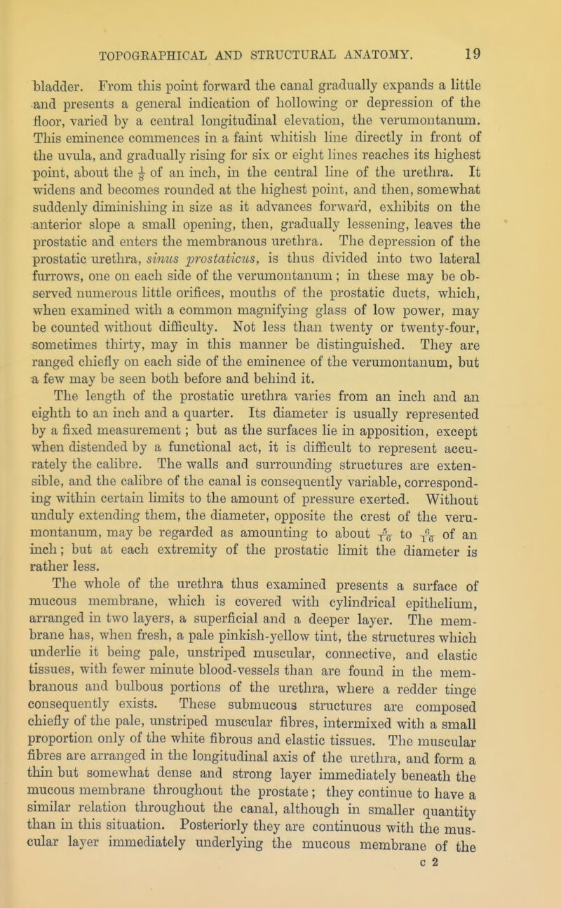 bladder. From this point forward the canal gradually expands a little and presents a general indication of hollowing or depression of the floor, varied by a central longitudinal elevation, the verumontanum. This eminence commences in a faint whitish line directly in front of the uvula, and gradually rising for six or eight lines reaches its liighest point, about the ^ of an inch, in the central line of the urethra. It widens and becomes rounded at the highest point, and then, somewhat suddenly diminishing in size as it advances forward, exhibits on the anterior slope a small opening, then, gradually lessening, leaves the prostatic and enters the membranous urethra. The depression of the prostatic urethra, sinus prostaticus, is thus divided into two lateral furrows, one on each side of the verumontanum ; in these may be ob- served numerous little orifices, mouths of the prostatic ducts, which, when examined with a common magnifying glass of low power, may be counted without difficulty. Not less than twenty or twenty-four, sometimes thirty, may in this manner be distinguished. They are ranged chiefly on each side of the eminence of the verumontanum, but a few may be seen both before and behind it. The length of the prostatic urethra varies from an inch and an eighth to an inch and a quarter. Its diameter is usually represented by a fixed measurement; but as the surfaces lie in apposition, except when distended by a functional act, it is difiicult to represent accu- rately the calibre. The walls and surrounding structures are exten- sible, and the calibre of the canal is consequently variable, correspond- ing within certain limits to the amount of pressure exerted. Without unduly extending them, the diameter, opposite the crest of the veru- montanum, may be regarded as amounting to about fV to of an inch; but at each extremity of the prostatic limit the diameter is rather less. The whole of the urethra thus examined presents a surface of mucous membrane, which is covered with cylindrical epithehum, arranged in two layers, a superficial and a deeper layer. The mem- brane has, when fresh, a pale pinkish-yellow tint, the structures which underHe it being pale, unstriped muscular, comiective, and elastic tissues, with fewer minute blood-vessels than are found in the mem- branous and bulbous portions of the urethra, where a redder tuage consequently exists. These submucous structures are composed chiefly of the pale, unstriped muscular fibres, intermixed with a small proportion only of the white fibrous and elastic tissues. The muscular fibres are arranged in the longitudinal axis of the urethra, and form a thin but somewhat dense and strong layer immediately beneath the mucous membrane throughout the prostate ; they continue to have a similar relation throughout the canal, although in smaller quantity than in this situation. Posteriorly they are continuous with the mus- cular layer immediately underlying the mucous membrane of the c 2