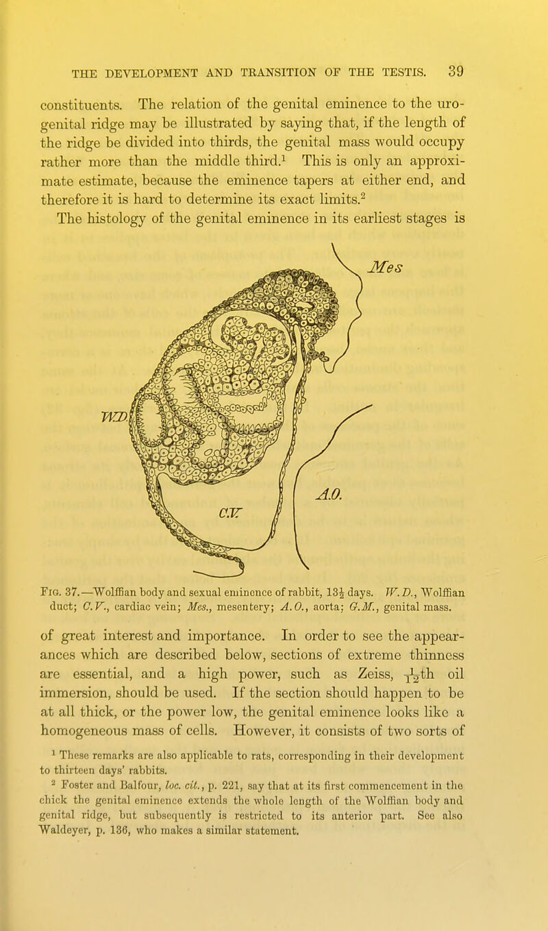 constituents. The relation of the genital eminence to the uro- genital ridge may be illustrated by saying that, if the length of the ridge be divided into thirds, the genital mass would occupy rather more than the middle third.^ This is only an approxi- mate estimate, because the eminence tapers at either end, and therefore it is hard to determine its exact limits.^ The histology of the genital eminence in its earliest stages is WD., Fig. 37.—WollEan body and sexual eminence of rabbit, 13| days. TF.D., Wolffian duct; C.V., cardiac vein; Mes., mesentery; A.O., aorta; G.If., genital mass. of great interest and importance. In order to see the appear- ances which are described below, sections of extreme thinness are essential, and a high power, such as Zeiss, x^th oil immersion, should be used. If the section should happen to be at all thick, or the power low, the genital eminence looks like a homogeneous mass of cells. However, it consists of two sorts of 1 These remarks are also applicable to rats, corresponding in their development to thirteen days' rabbits. ^ Foster and Balfour, loc. cit., p. 221, say that at its first commencement in the chick the genital eminence extends the whole length of the Wolflian body and genital ridge, but subsequently is restricted to its anterior part. See also Waldeyer, p. 136, who makes a similar statement.