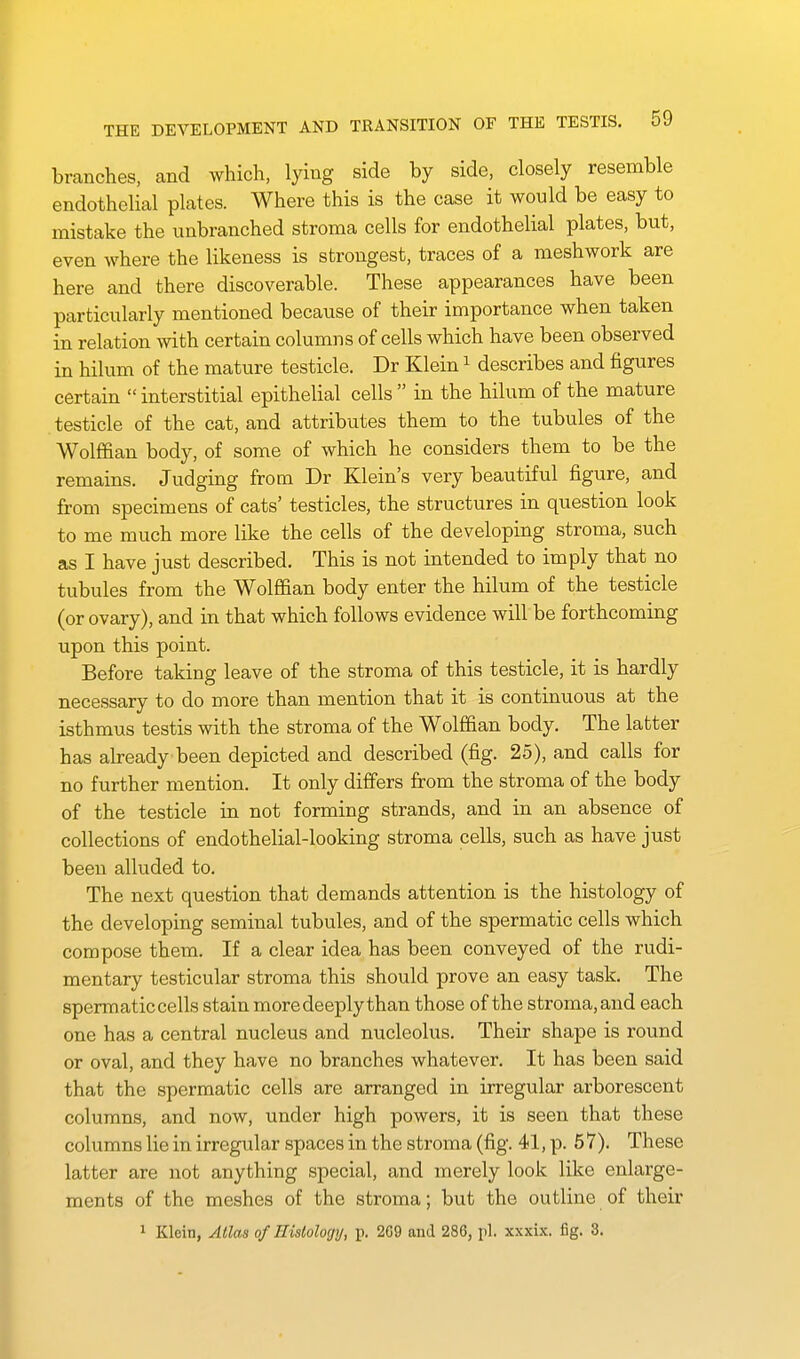 branches, and which, lying side by side, closely resemble endothelial plates. Where this is the case it would be easy to mistake the unbranched stroma cells for endothelial plates, but, even where the likeness is strongest, traces of a meshwork are here and there discoverable. These appearances have been particularly mentioned because of their importance when taken in relation with certain columns of cells which have been observed in hilum of the mature testicle. Dr Klein ^ describes and figures certain  interstitial epithelial cells  in the hilum of the mature testicle of the cat, and attributes them to the tubules of the Wolffian body, of some of which he considers them to be the remains. Judging from Dr Klein's very beautiful figure, and from specimens of cats' testicles, the structures in question look to me much more like the cells of the developing stroma, such as I have just described. This is not intended to imply that no tubules from the Wolffian body enter the hilum of the testicle (or ovary), and in that which follows evidence will be forthcoming upon this point. Before taking leave of the stroma of this testicle, it is hardly necessary to do more than mention that it is continuous at the isthmus testis with the stroma of the Wolffian body. The latter has already been depicted and described (fig. 25), and calls for no further mention. It only differs from the stroma of the body of the testicle in not forming strands, and in an absence of collections of endothelial-looking stroma cells, such as have just been alluded to. The next question that demands attention is the histology of the developing seminal tubules, and of the spermatic cells which compose them. If a clear idea has been conveyed of the rudi- mentary testicular stroma this should prove an easy task. The sperm atic cells stain more deeply than those of the stroma, and each one has a central nucleus and nucleolus. Their shape is round or oval, and they have no branches whatever. It has been said that the spermatic cells are arranged in irregular arborescent columns, and now, under high powers, it is seen that these columns lie in irregular spaces in the stroma (fig. 41, p. 5 7). These latter are not anything special, and merely look like enlarge- ments of the meshes of the stroma; but the outline of their 1 Klein, Atlas of Histology, p. 2G9 and 286, pi. xxxix. fig. 3.