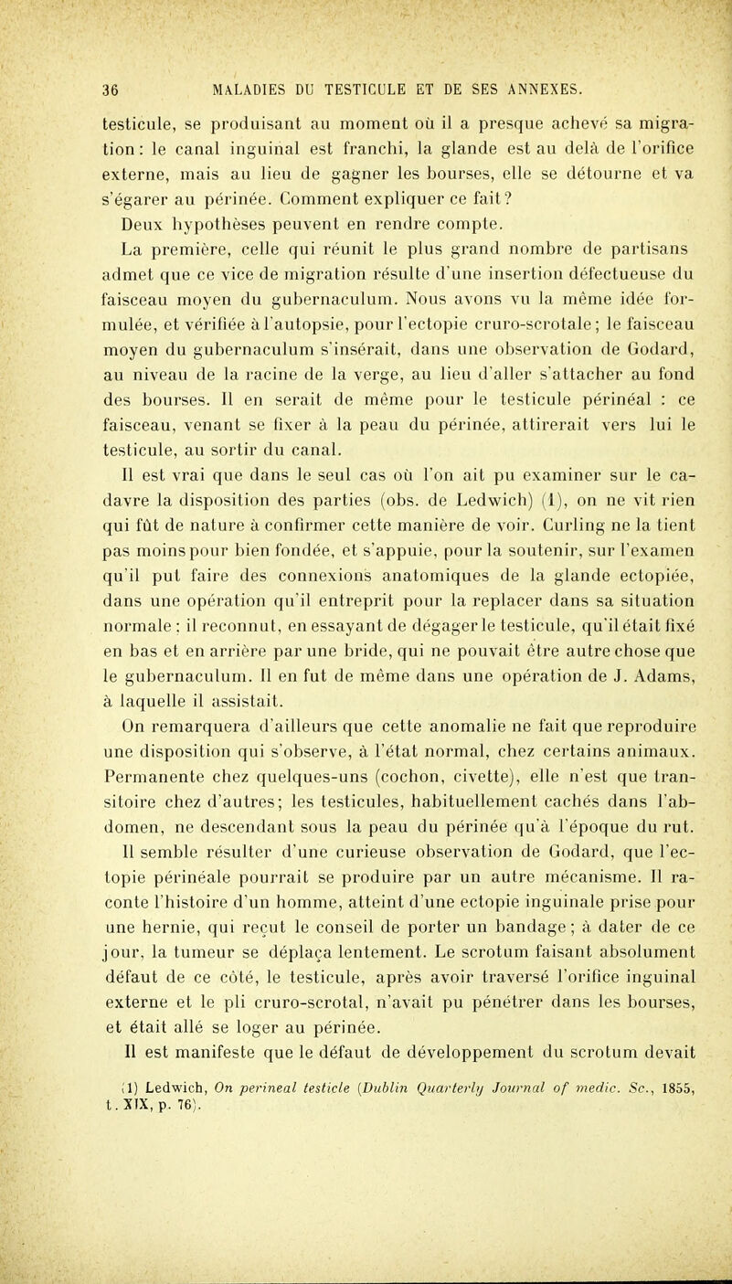 testicule, se produisant au moment où il a presque achevé sa migra- tion : le canal inguinal est franchi, la glande est au delà de l'orifice externe, mais au lieu de gagner les bourses, elle se détourne et va s'égarer au périnée. Comment expliquer ce fait? Deux hypothèses peuvent en rendre compte. La première, celle qui réunit le plus grand nombre de partisans admet que ce vice de migration résulte d'une insertion défectueuse du faisceau moyen du gubernaculum. Nous avons vu la même idée for- mulée, et vérifiée à l'autopsie, pour l'ectopie cruro-scrotale ; le faisceau moyen du gubernaculum s'insérait, dans une observation de Godard, au niveau de la racine de la verge, au lieu d'aller s'attacher au fond des bourses. Il en serait de même pour le testicule périnéal : ce faisceau, venant se fixer à la peau du périnée, attirerait vers lui le testicule, au sortir du canal. Il est vrai que dans le seul cas où l'on ait pu examiner sur le ca- davre la disposition des parties (obs. de Ledwich) (1), on ne vit rien qui fût de nature à confirmer cette manière de voir. Curling ne la tient pas moins pour bien fondée, et s'appuie, pour la soutenir, sur l'examen qu'il put faire des connexions anatomiques de la glande ectopiée, dans une opération qu'il entreprit pour la replacer dans sa situation normale ; il reconnut, en essayant de dégager le testicule, qu'il était fixé en bas et en arrière par une bride, qui ne pouvait être autre chose que le gubernaculum. Il en fut de même dans une opération de J. Adams, à laquelle il assistait. On remarquera d'ailleurs que cette anomalie ne fait que reproduire une disposition qui s'observe, à l'état normal, chez certains animaux. Permanente chez quelques-uns (cochon, civette), elle n'est que tran- sitoire chez d'autres; les testicules, habituellement cachés dans l'ab- domen, ne descendant sous la peau du périnée qu'à l'époque du rut. Il semble résulter d'une curieuse observation de Godard, que l'ec- topie périnéale pourrait se produire par un autre mécanisme. Il ra- conte l'histoire d'un homme, atteint d'une ectopie inguinale prise pour une hernie, qui reçut le conseil de porter un bandage; à dater de ce jour, la tumeur se déplaça lentement. Le scrotum faisant absolument défaut de ce côté, le testicule, après avoir traversé l'orifice inguinal externe et le pli cruro-scrotal, n'avait pu pénétrer dans les bourses, et était allé se loger au périnée. Il est manifeste que le défaut de développement du scrotum devait il) Ledwich, On perineal testicle (Dublin Quarterly Journal of medic. Se, 1855, t. ÎIX, p. 76).