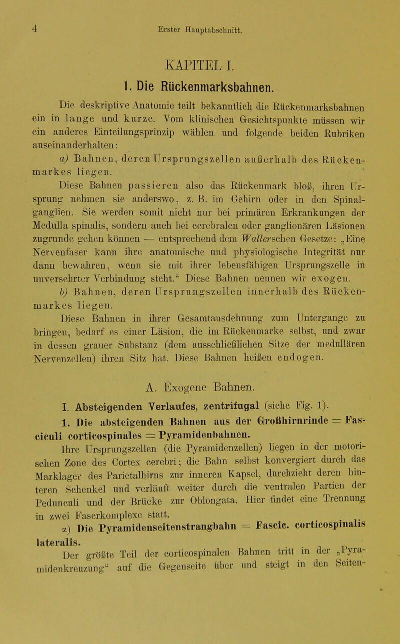 KAPITEL I. 1. Die Rückenmarksbahnen. Die deskriptive Anatomie teilt bekanntlicli die Rückenmarksbahnen ein in lange und kurze. Vom klinischen Gesichtspunkte müssen wir ein anderes Einteilungsprinzip wählen und folgende beiden ßubriken auseinanderhalten: a) Bahnen, deren Ursprungszellen außerhalb des Rücken- markes liegen. Diese Bahnen passieren also das Rückenmark bloß, ihren Ur- sprung nehmen sie anderswo, z. B. im Gehirn oder in den Spinal- ganglien. Sie werden somit nicht nur bei primären Erkrankungen der Medulla spinalis, sondern auch bei cerebralen oder ganglionären Läsionen zugrunde gehen können — entsprechend dem Waller^okm Gesetze: „Eine Nervenfaser kann ihre anatomische und physiologische Integrität nur dann bewahren, wenn sie mit ihrer lebensfähigen Ursprungszelle in unversehrter Verbindung steht. Diese Bahnen nennen wir exogen. h) Bahnen, deren Ursprungszelleu innerhalb des Rücken- markes liegen. Diese Bahnen in ihrer Gesamtausdehnung zum Untergange zu bringen, bedarf es einer Läsion, die im Rückenmarke selbst, und zwar in dessen grauer Substanz (dem ausschließlichen Sitze der medullären Nervenzellen) ihren Sitz hat. Diese Bahnen heißen endogen. A. Exogene Bahnen. I. Absteigenden Verlaufes, zentrifugal (siehe Fig. 1). 1. Die absteigenden Babnen aus der Großhirnrinde = Fas- ciculi corticospinales = Pyramidenbahnen. Ihre Ursprungszellen (die Pyramidenzellen) liegen in der motori- schen Zone des Cortex cerebri; die Bahn selbst konvergiert durch das Marklager des Parietalhirns zur inneren Kapsel, durchzieht deren hin- teren Schenkel und verläuft weiter durch die ventralen Partien der Pedunculi und der Brücke zur Oblongata. Hier findet eine Trennung in zwei Faserkomplexe statt. a) Die Pyramidenseitenstrangbahn = Fascic. corticospinalis lateralis. . Der größte Teil der corticospinalcn Bahnen tritt in der „iyra- midenkreuzung auf die Gegenseite Uber und steigt in den Seiten-